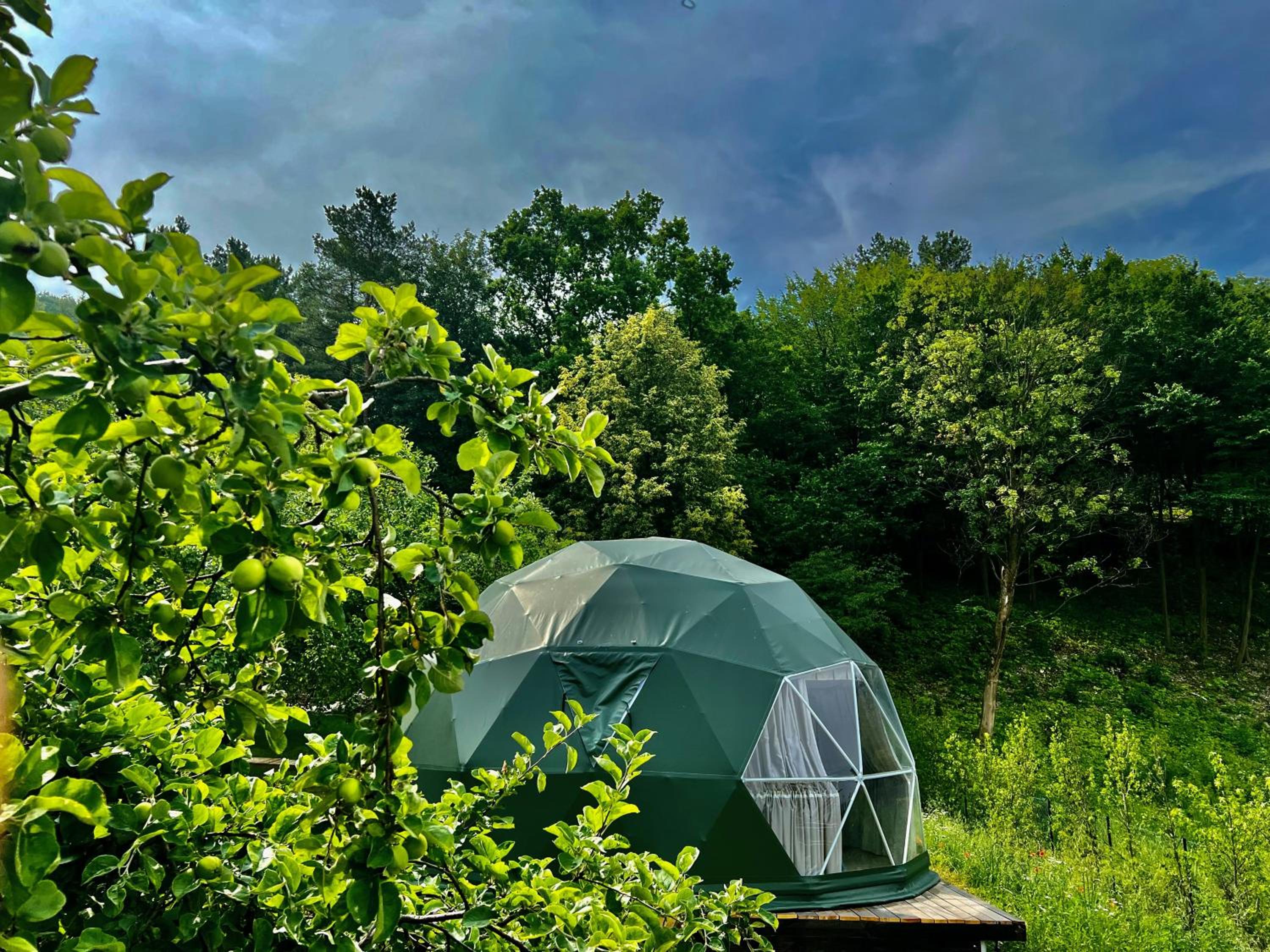 Tent - Photo 9