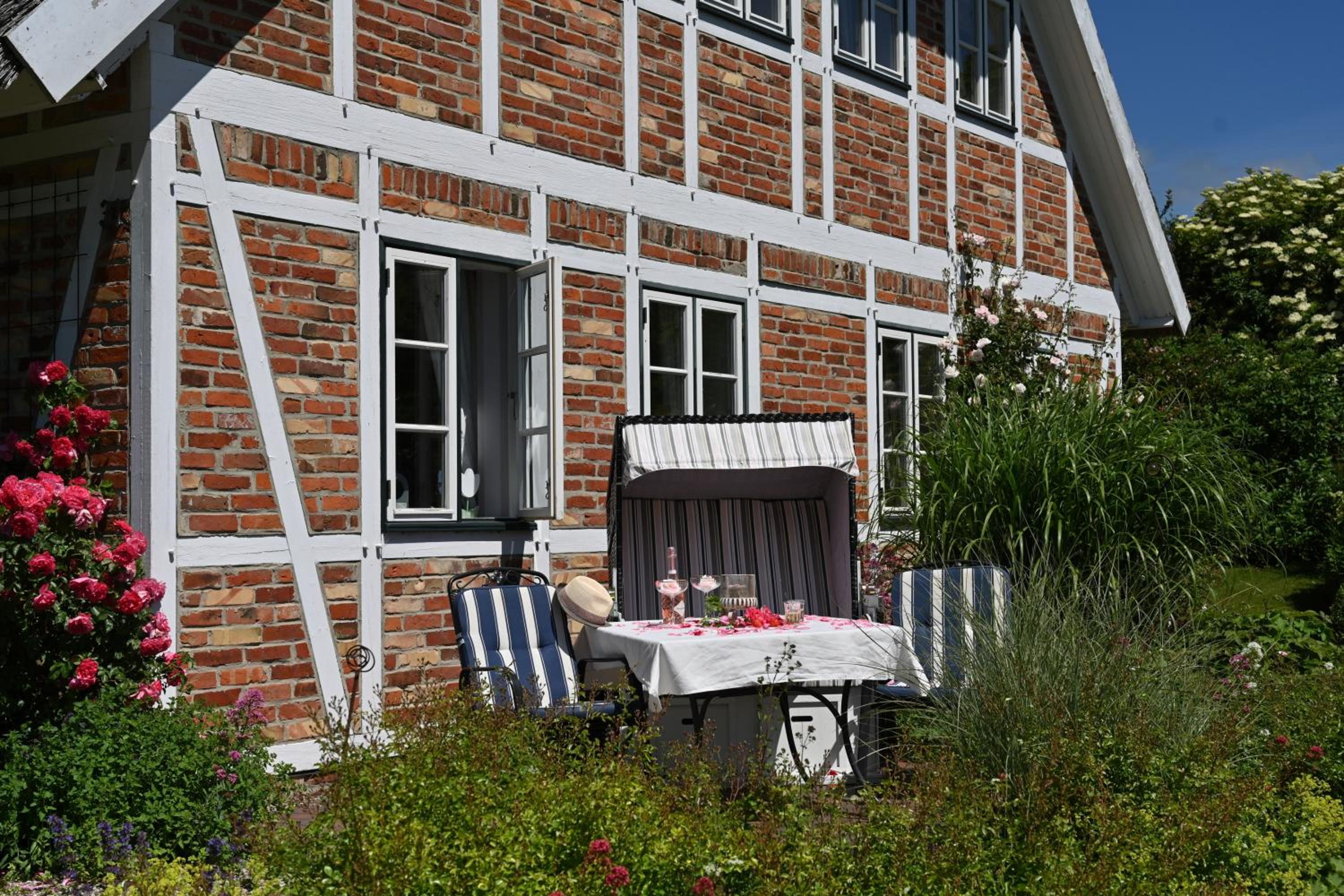 Apartment with Terrace photo 3