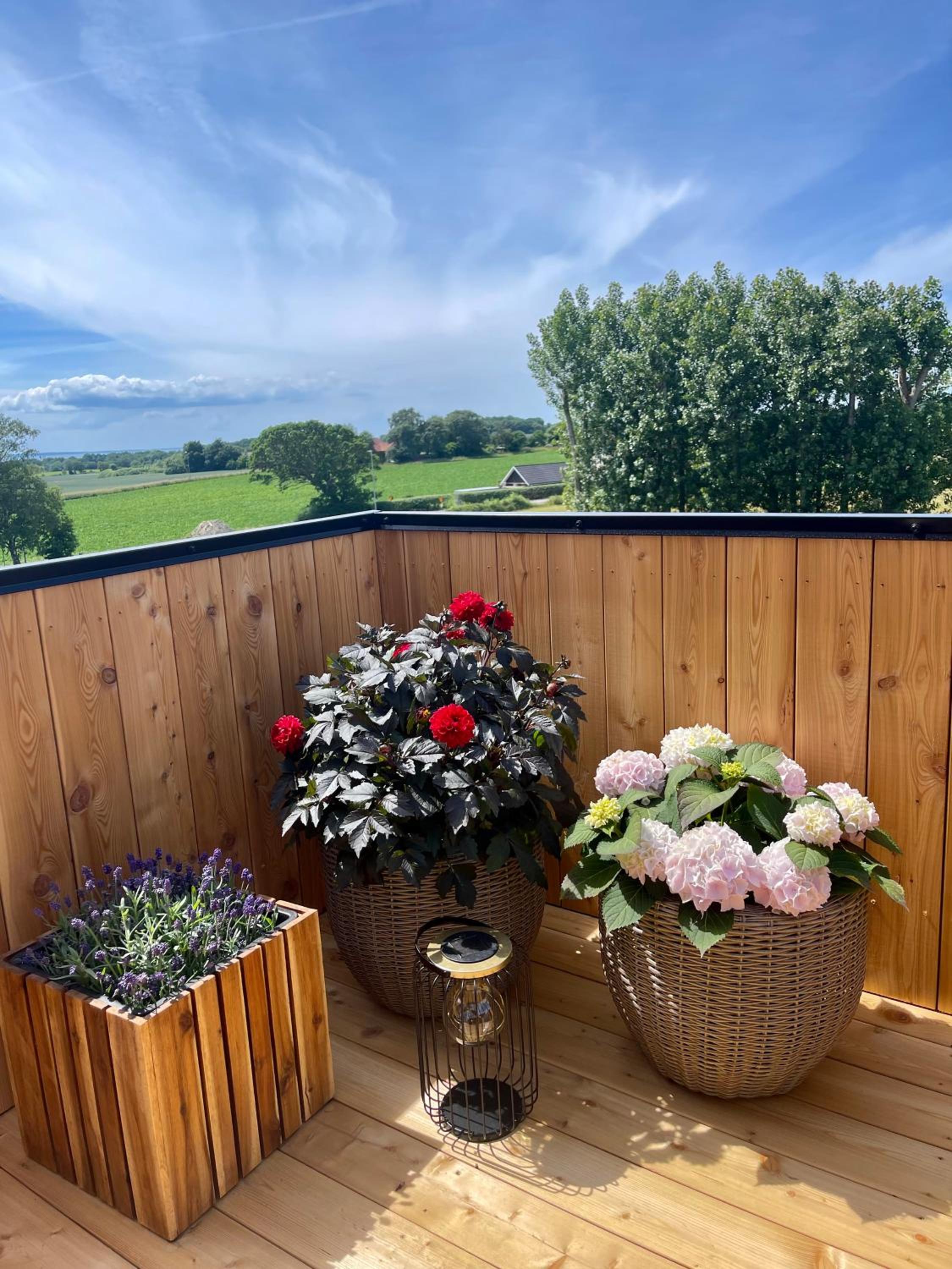 Double Room with Balcony - Photo 19