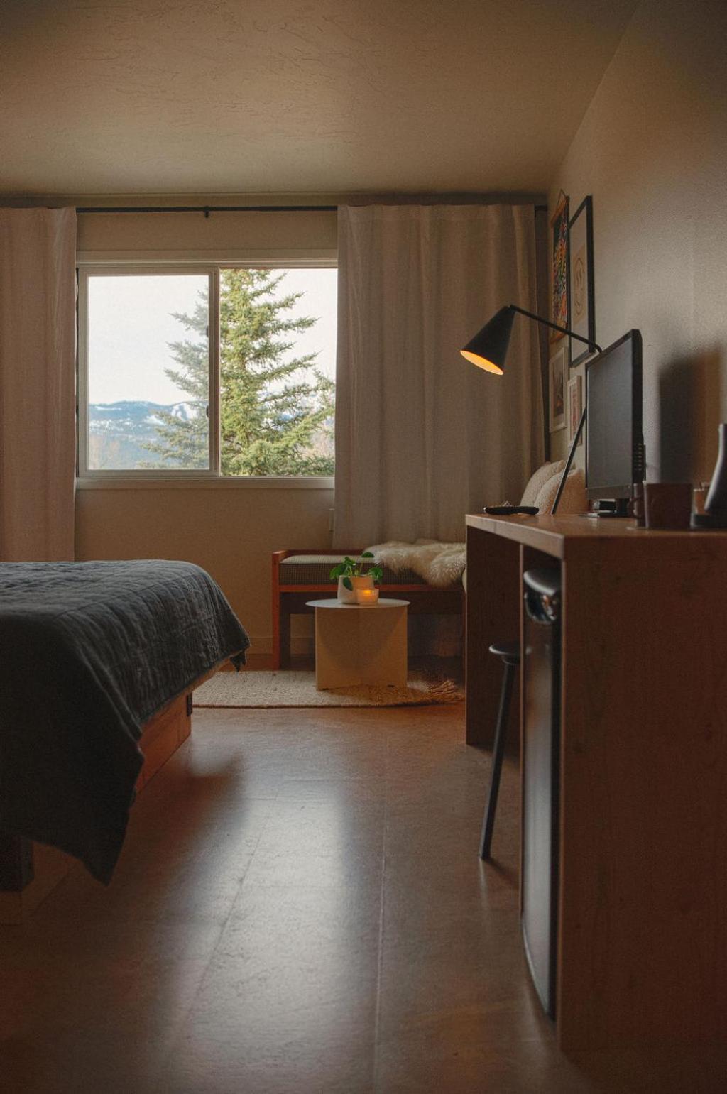 King Room photo 1