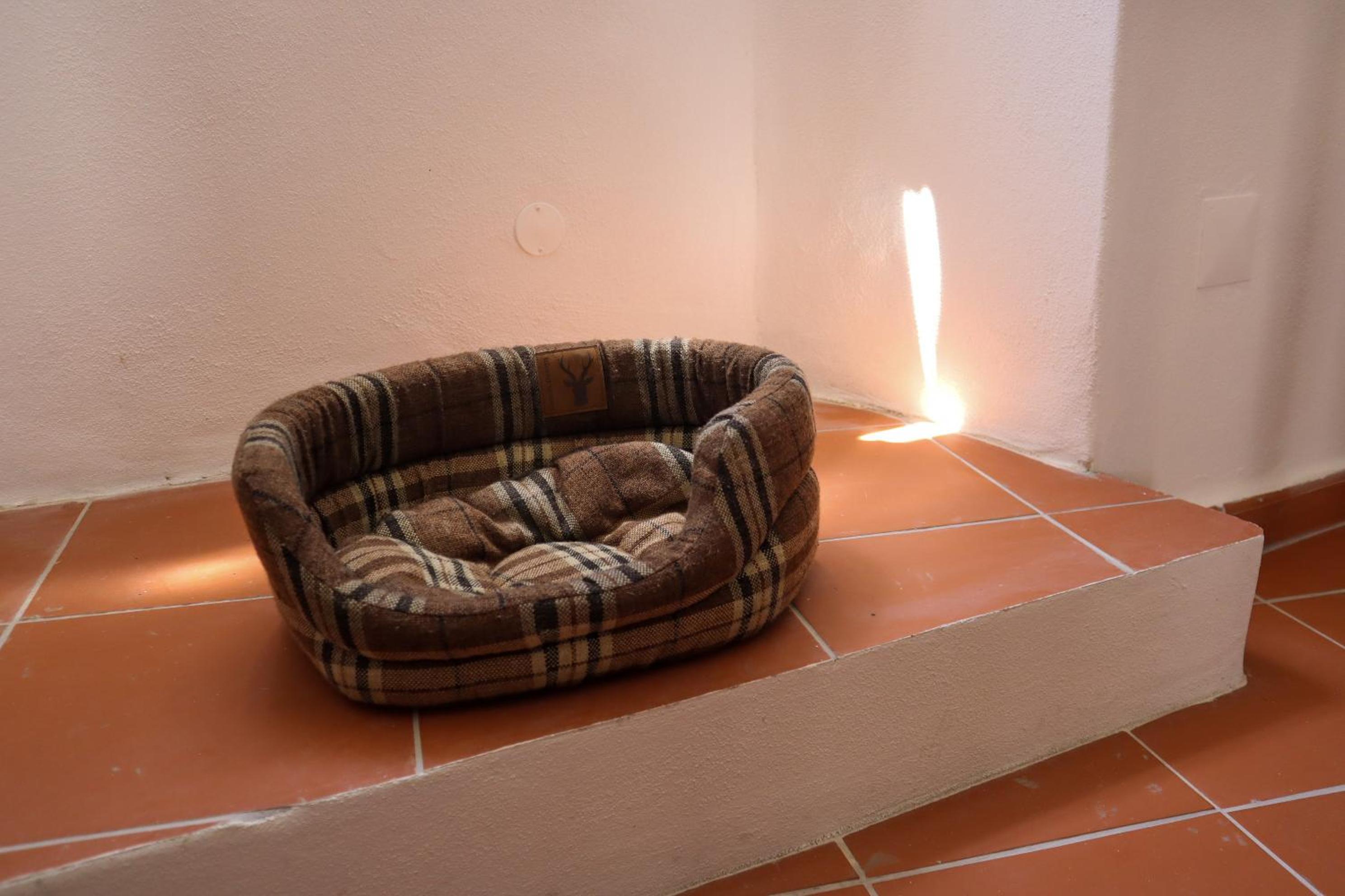 One-Bedroom Apartment - Photo 10