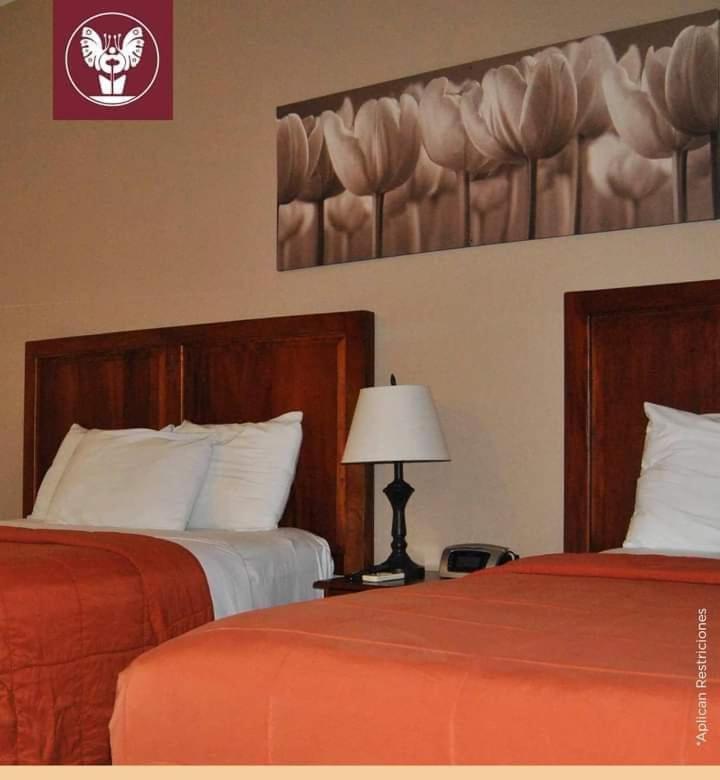 Standard Twin Room photo 1