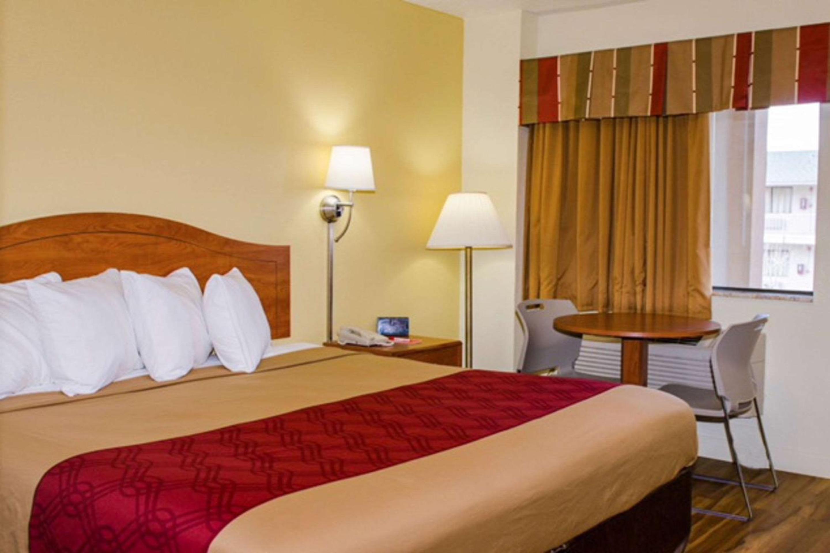 King Room photo 1