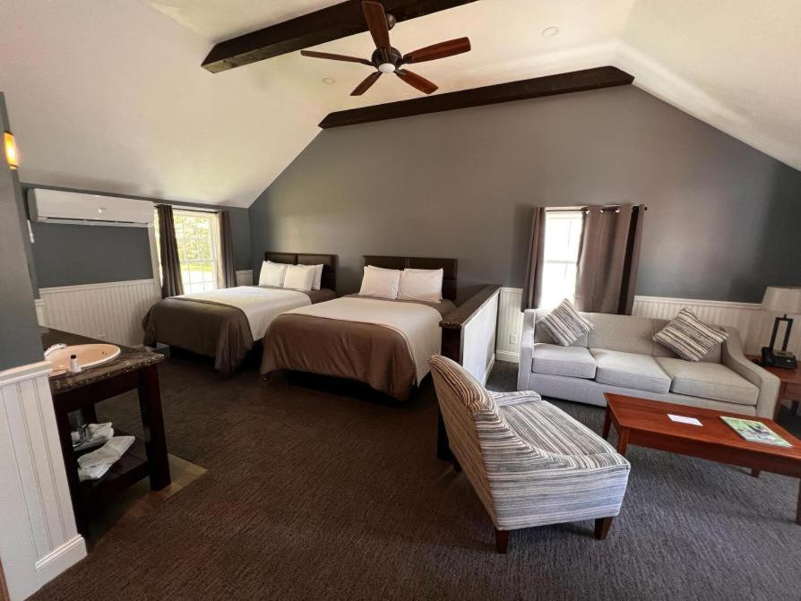 Garden Suite - Photo 5