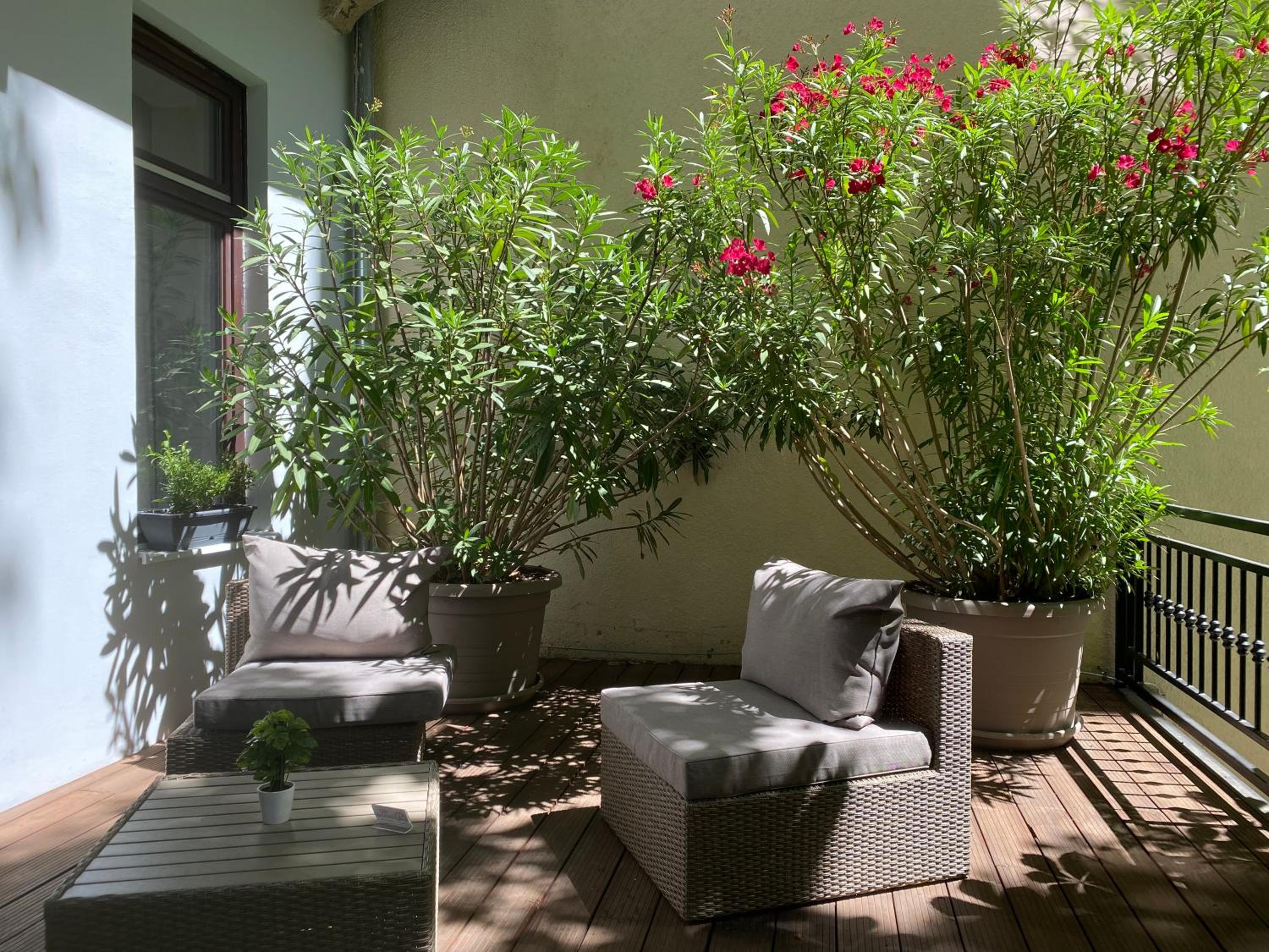 Double Room with Patio - Photo 7