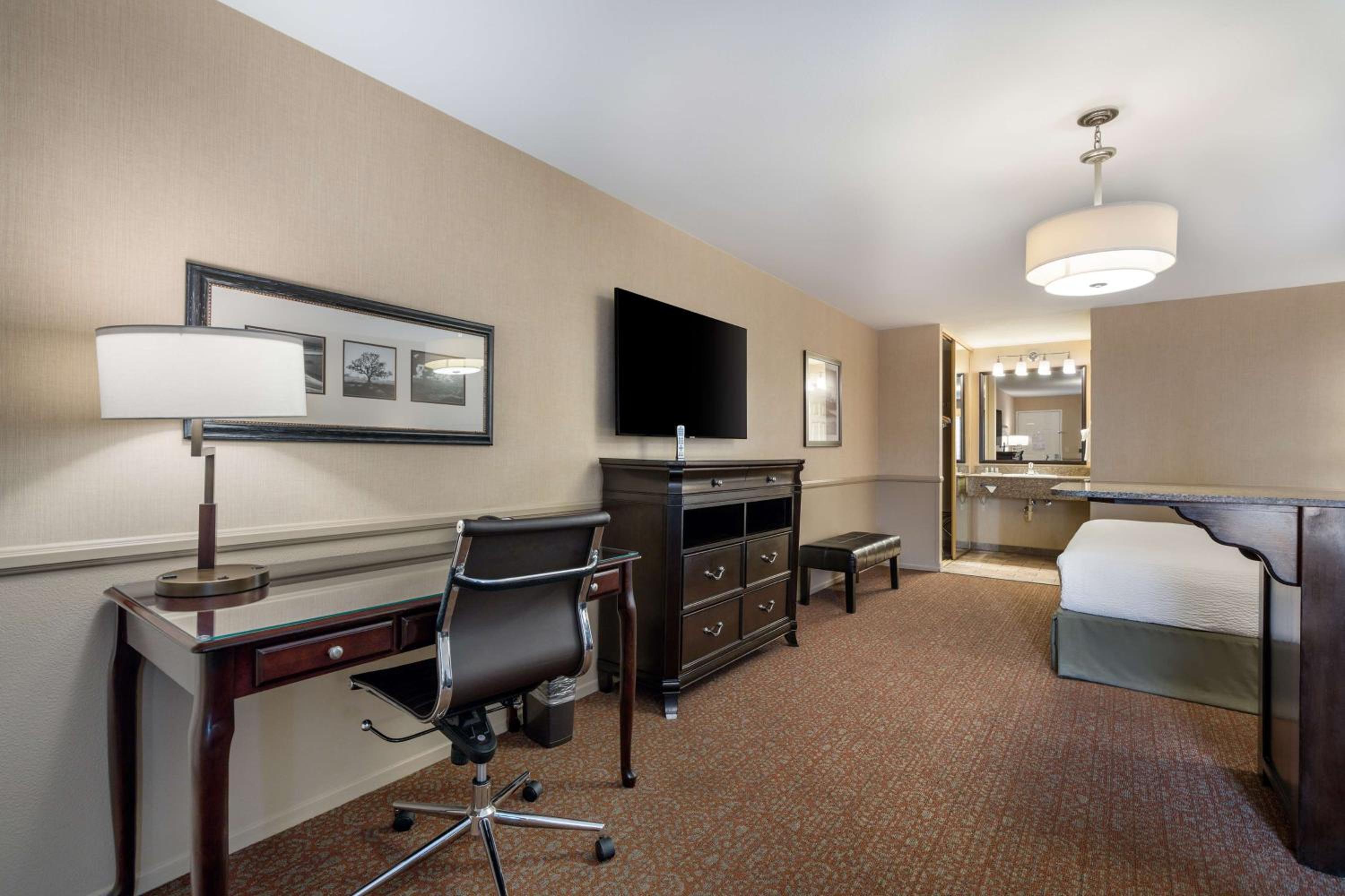 Suite with One King Bed and Sofa Bed photo 2