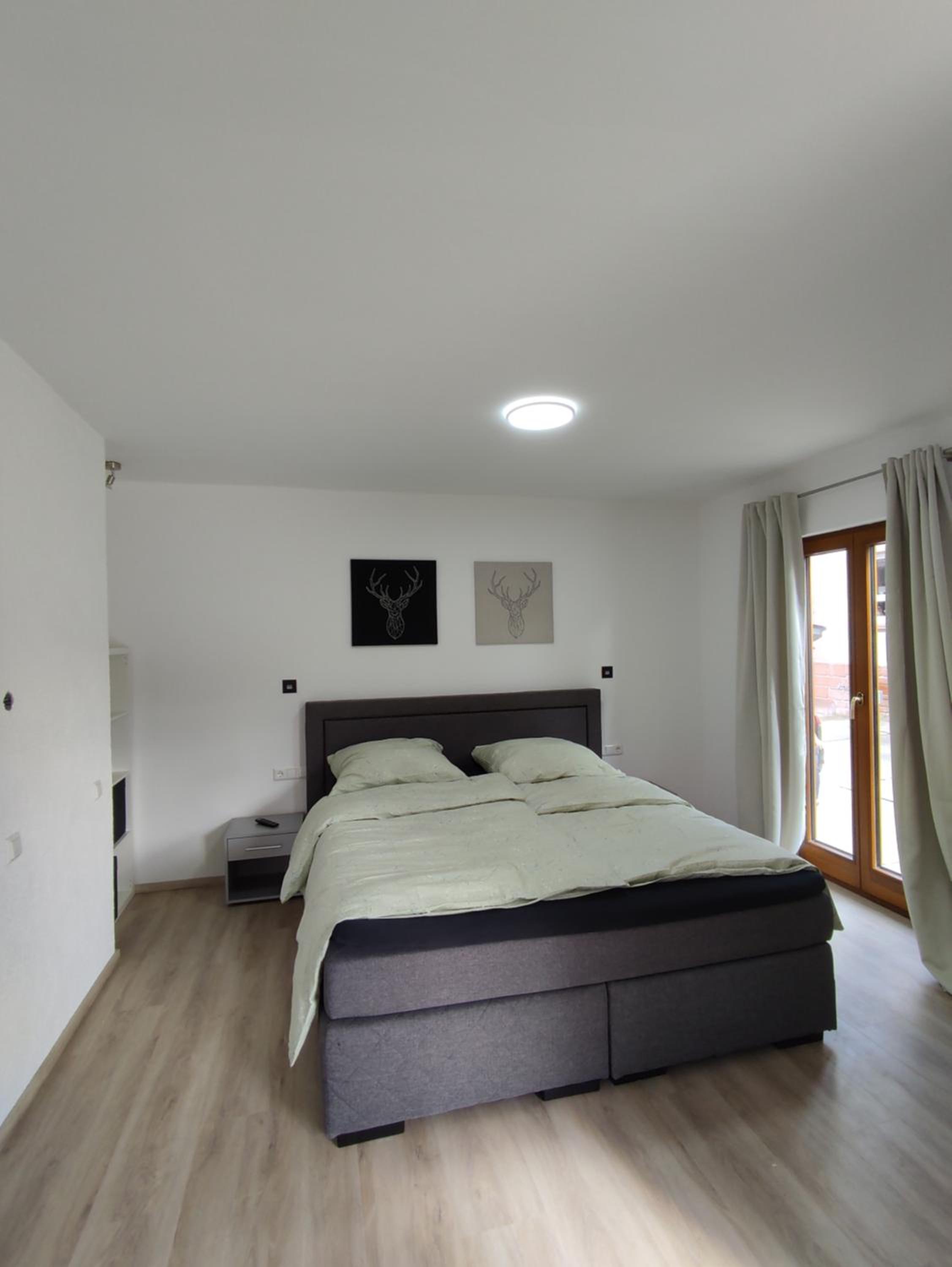 One-Bedroom Apartment photo 3