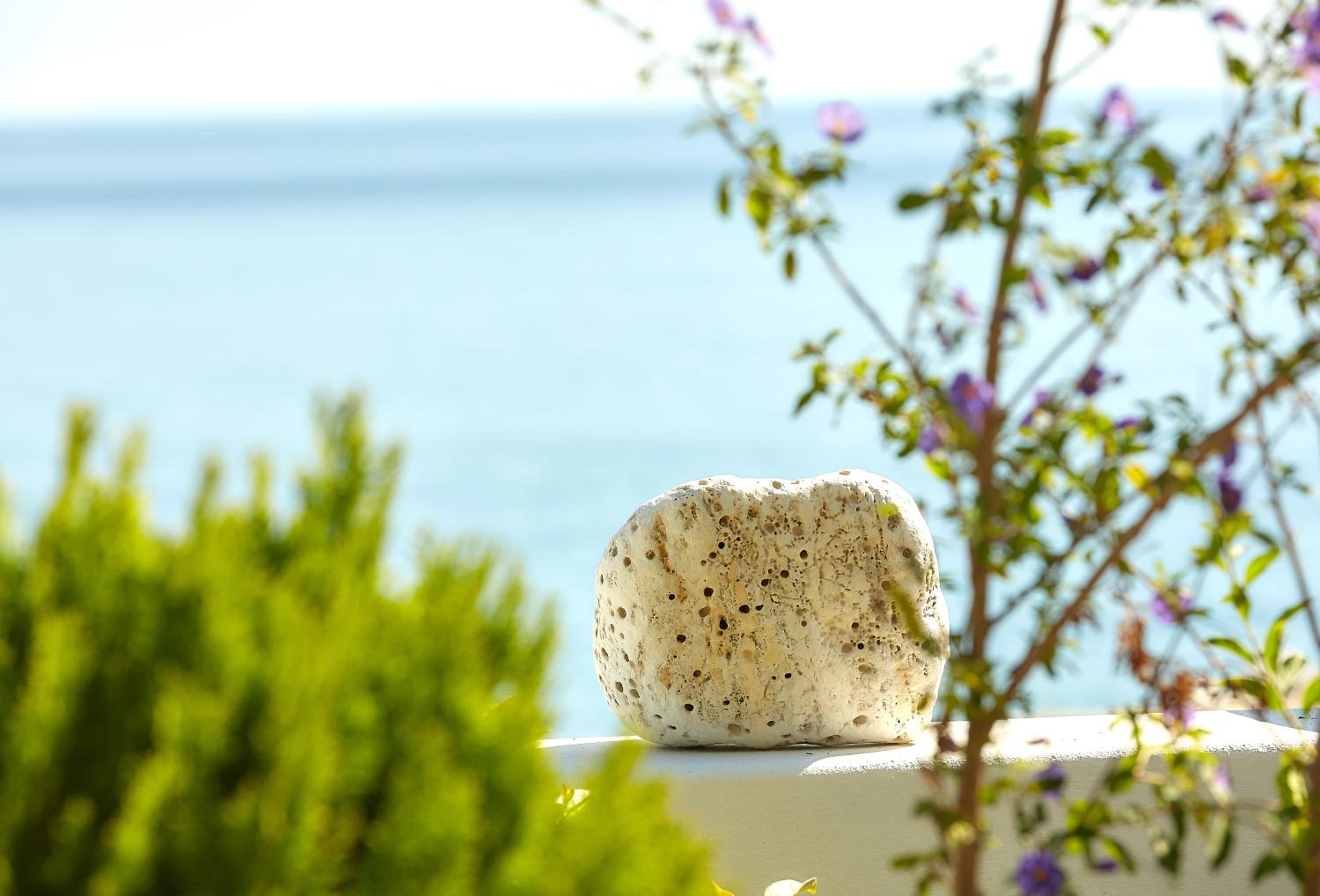 Apartment with Sea View - Photo 5