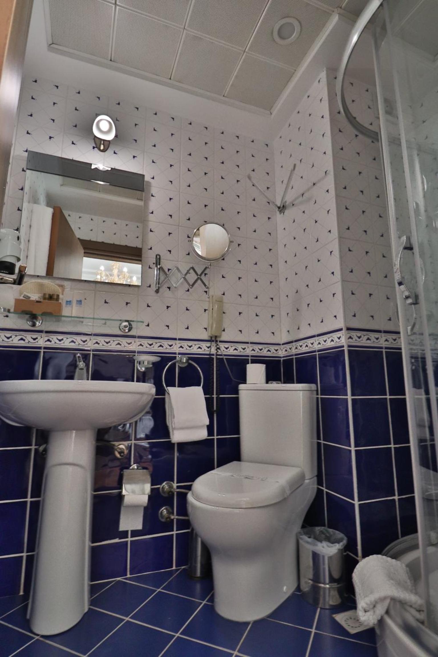 Deluxe Double or Twin Room photo 3