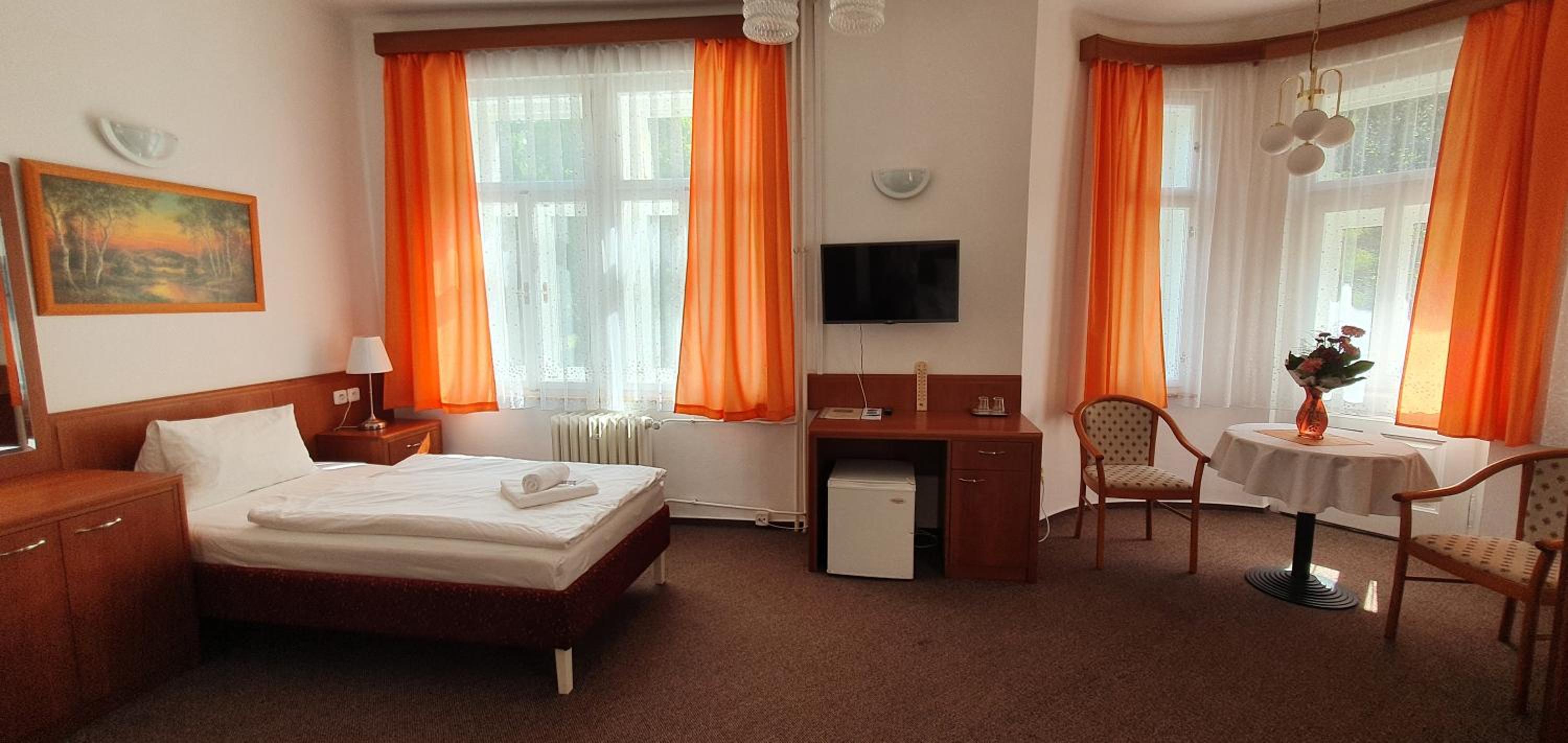 Deluxe Double or Twin Room photo 2