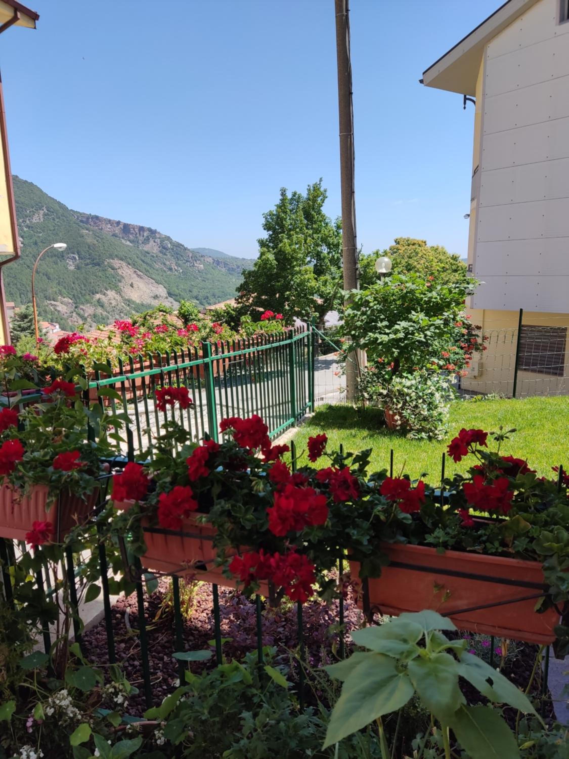 Apartment with Garden View photo 2
