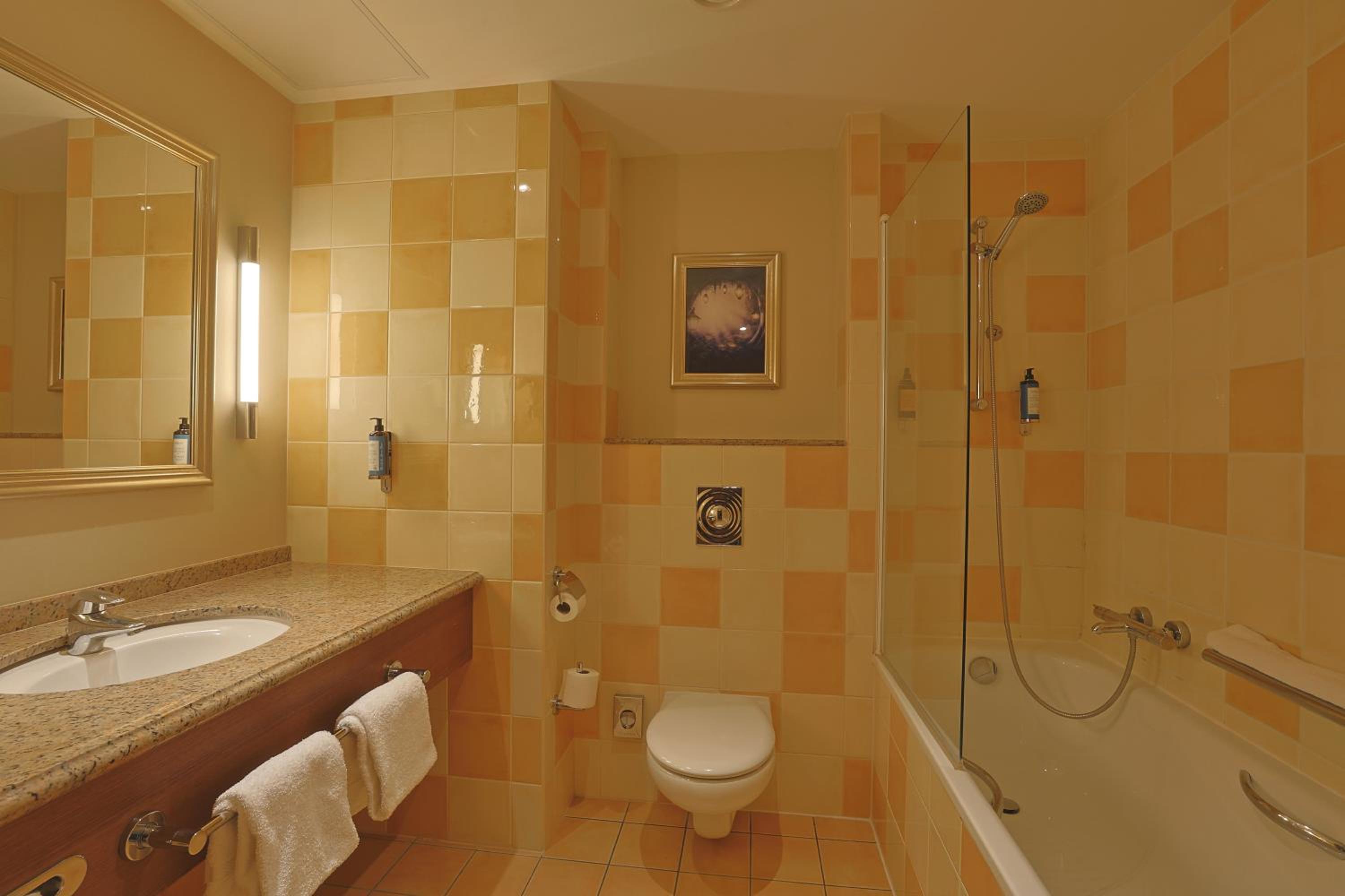 Chambre Double avec Accès au Spa (Lit King-Size)