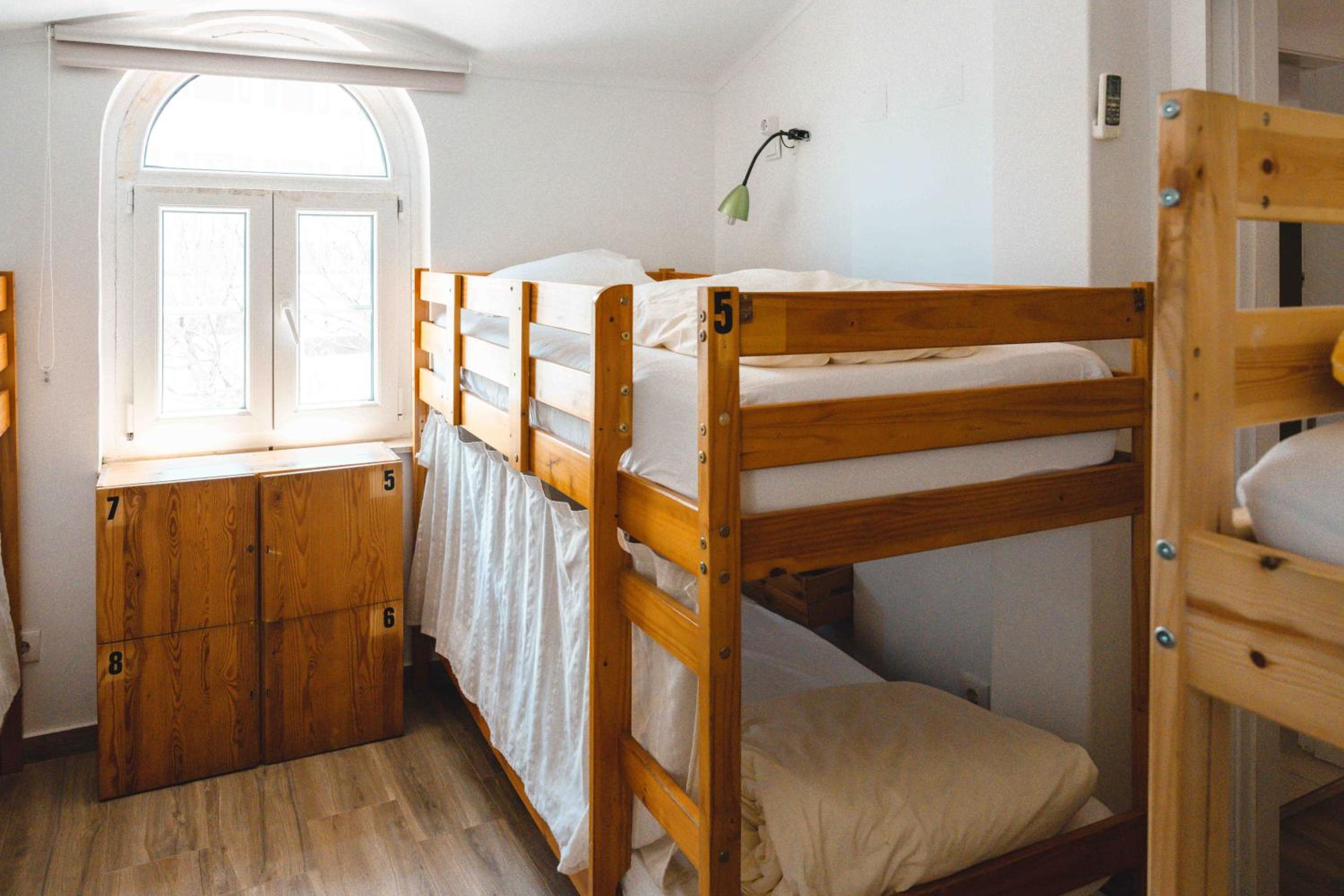 Bunk Bed in Mixed Dormitory Room photo 1