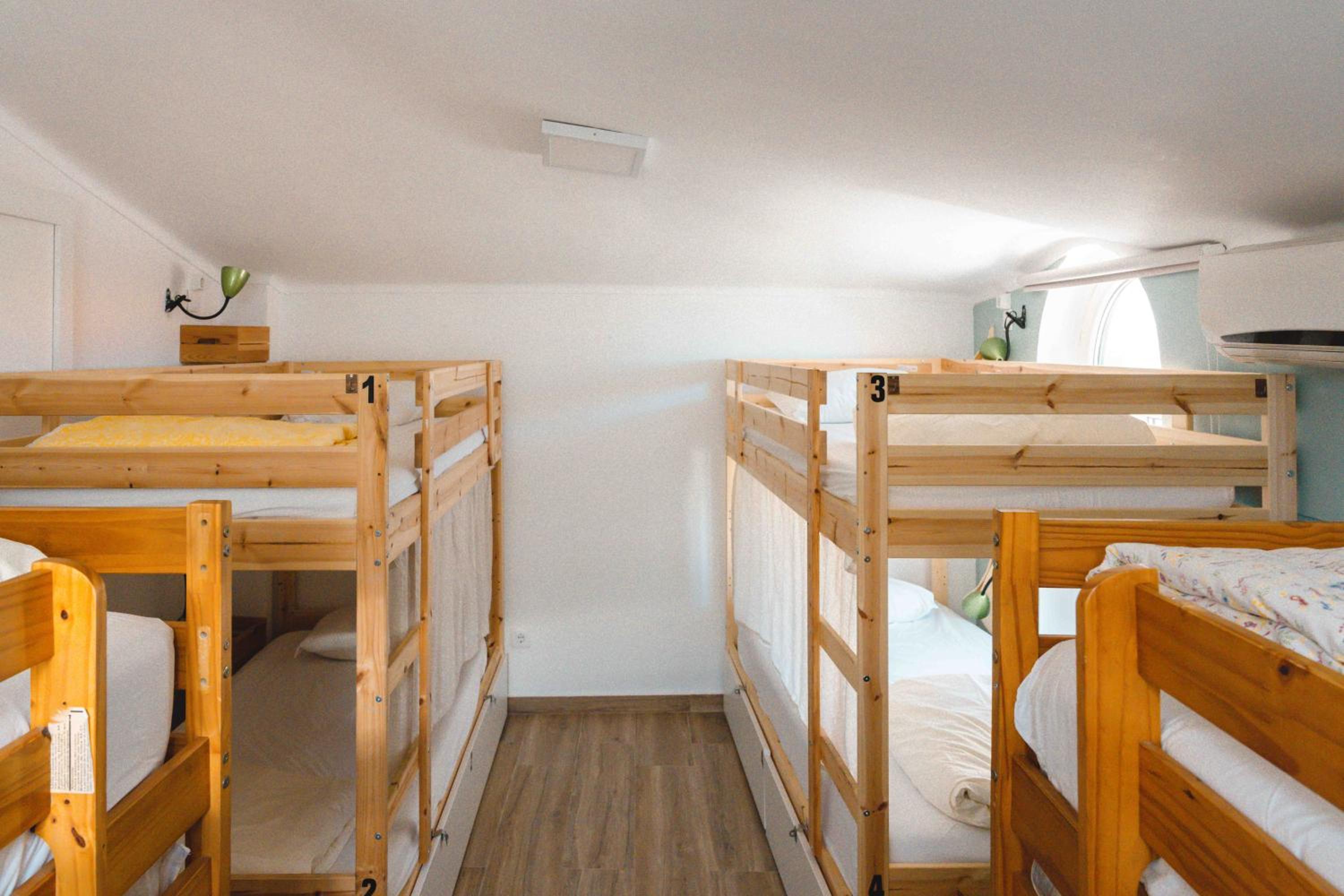 Bunk Bed in Mixed Dormitory Room photo 2