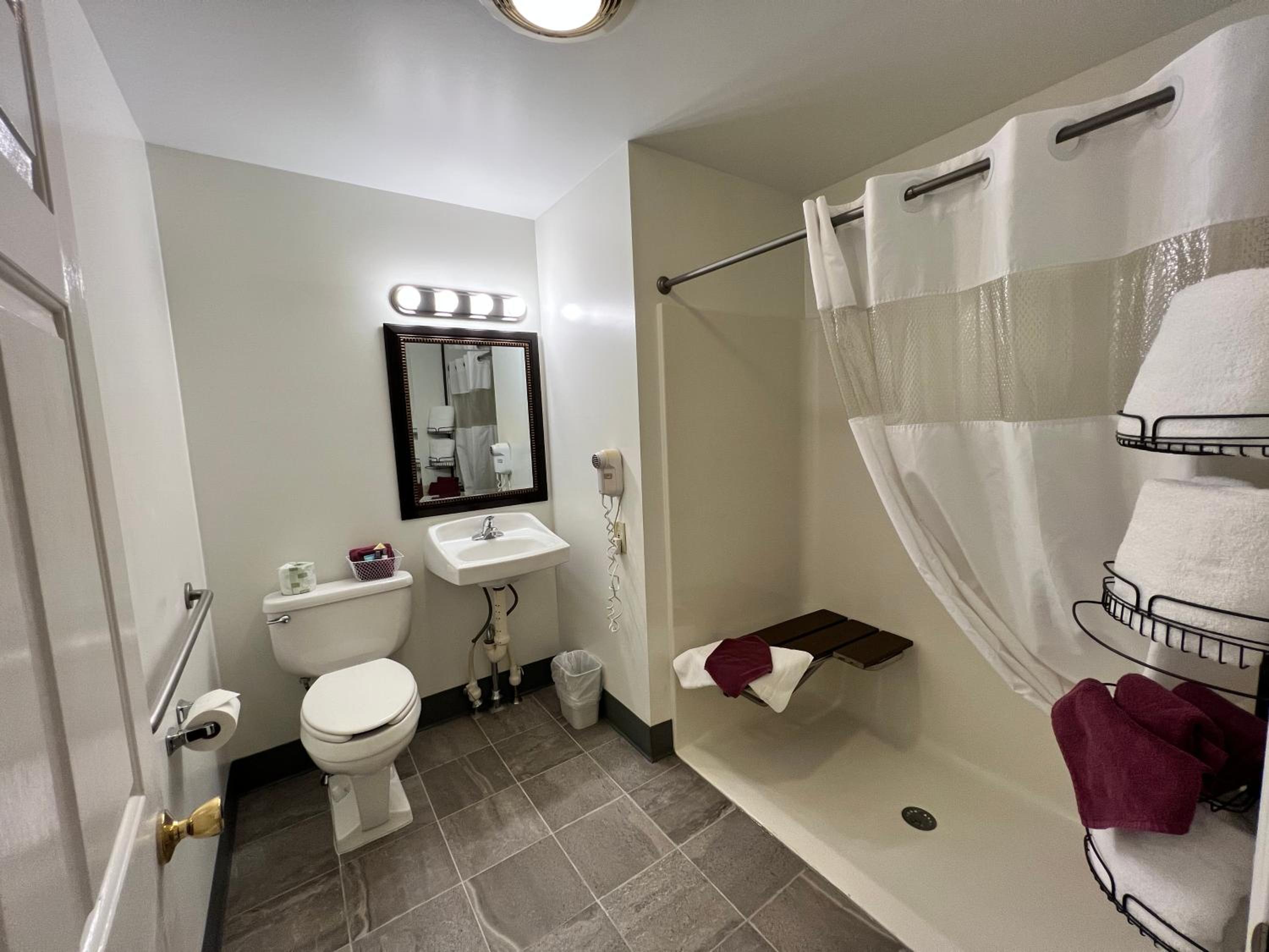 Queen Room Disability Access- No pets allowed - Photo 3
