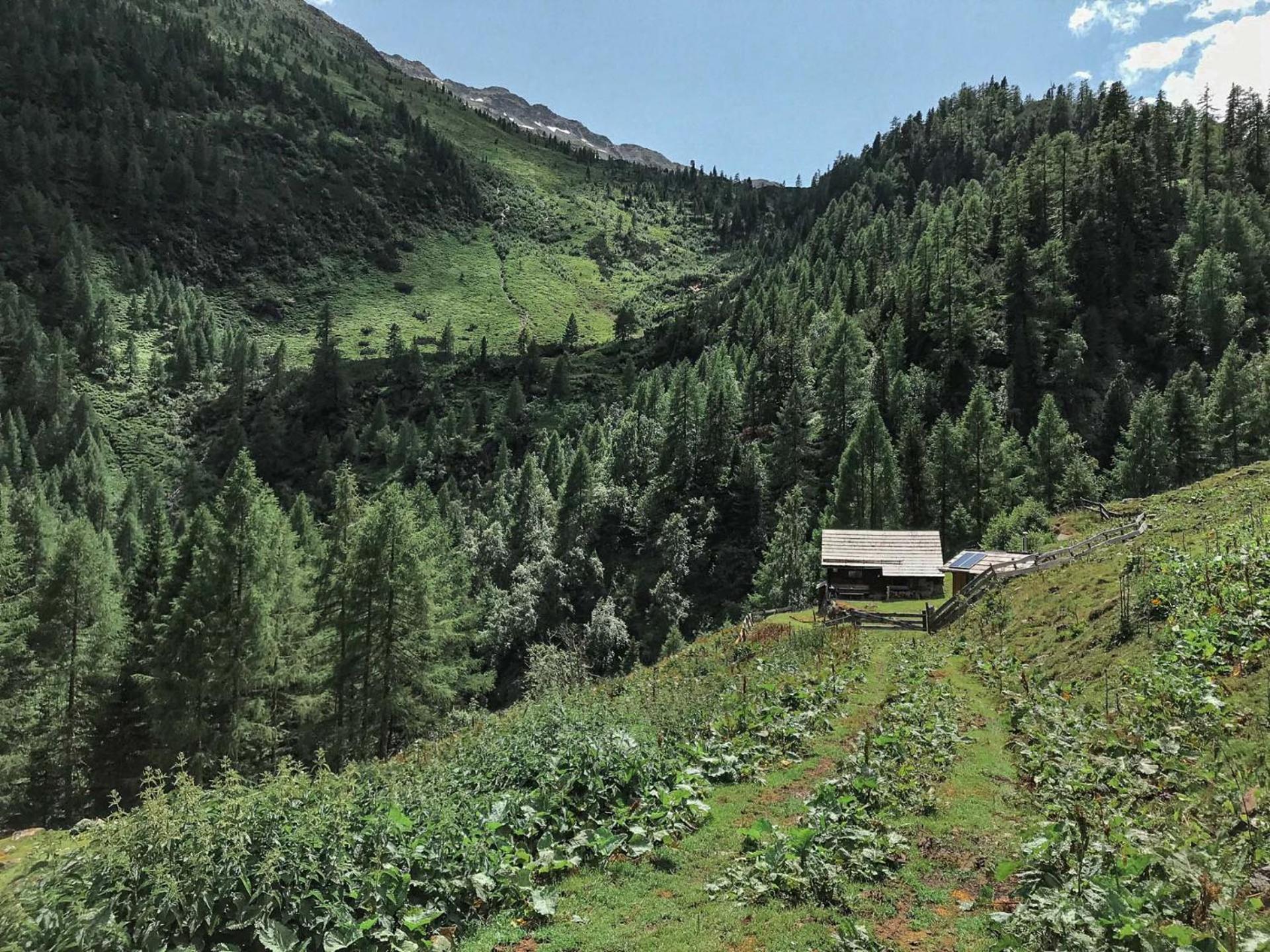 Chalet photo 2