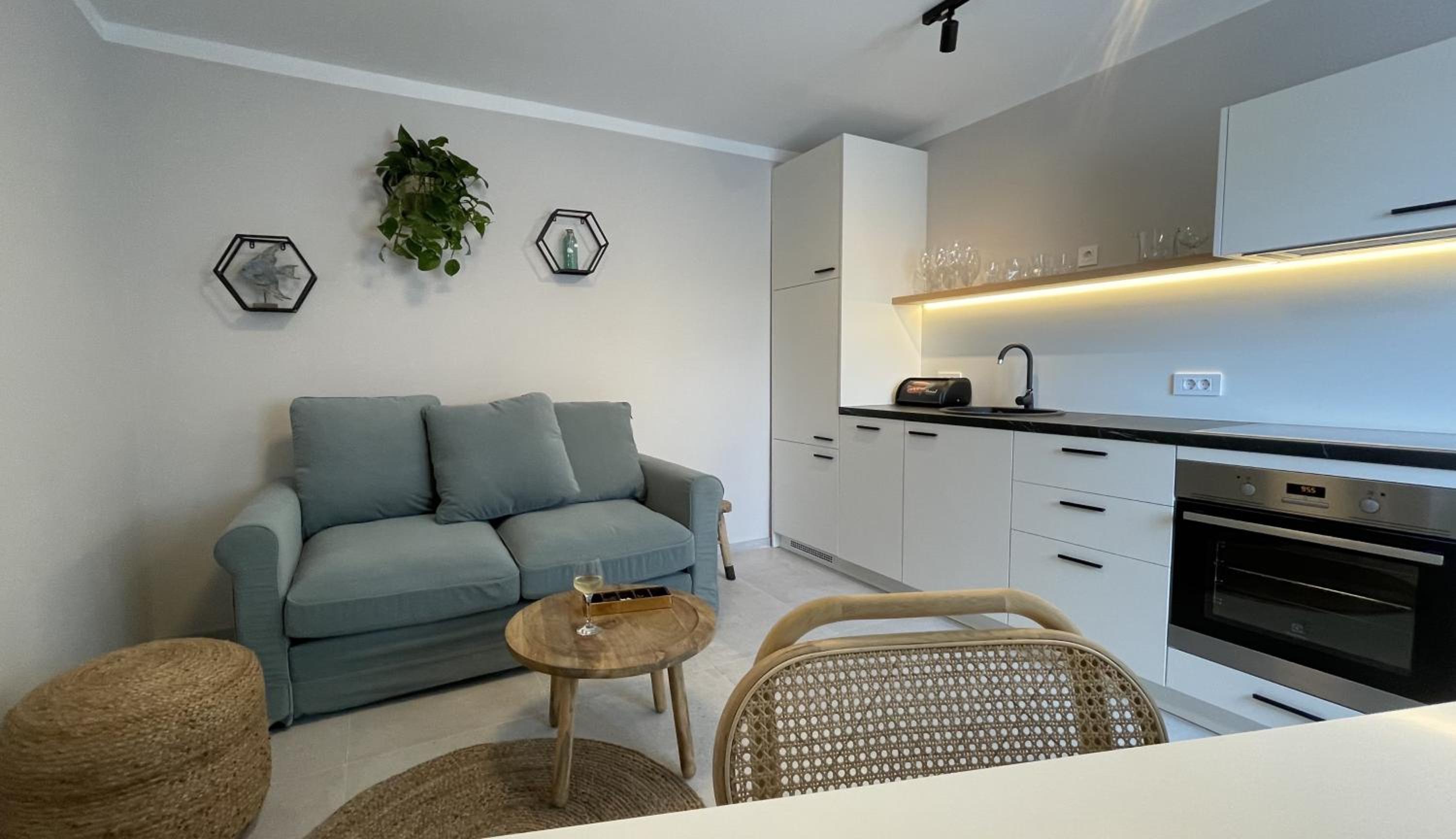 One Bedroom Apartment with Terrace photo 2