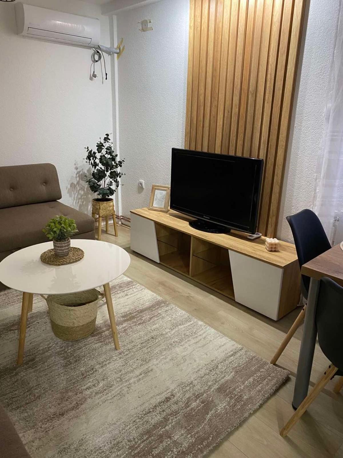 One-Bedroom Apartment 1