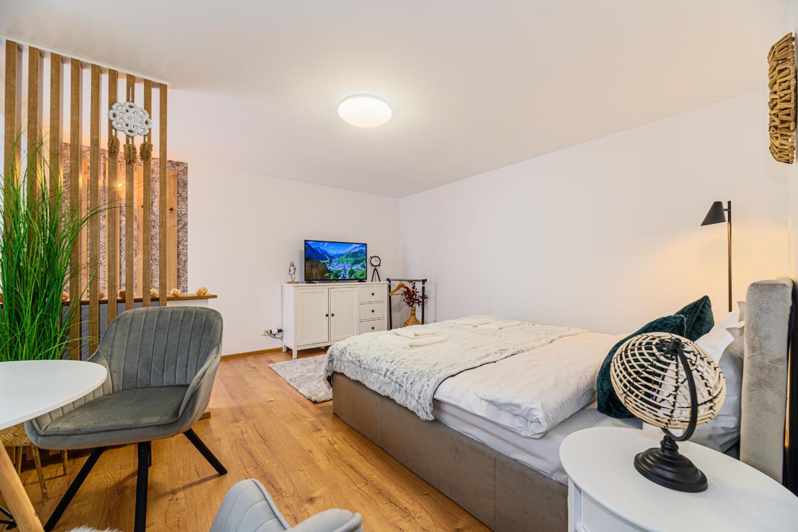 One-Bedroom Apartment - Photo 13