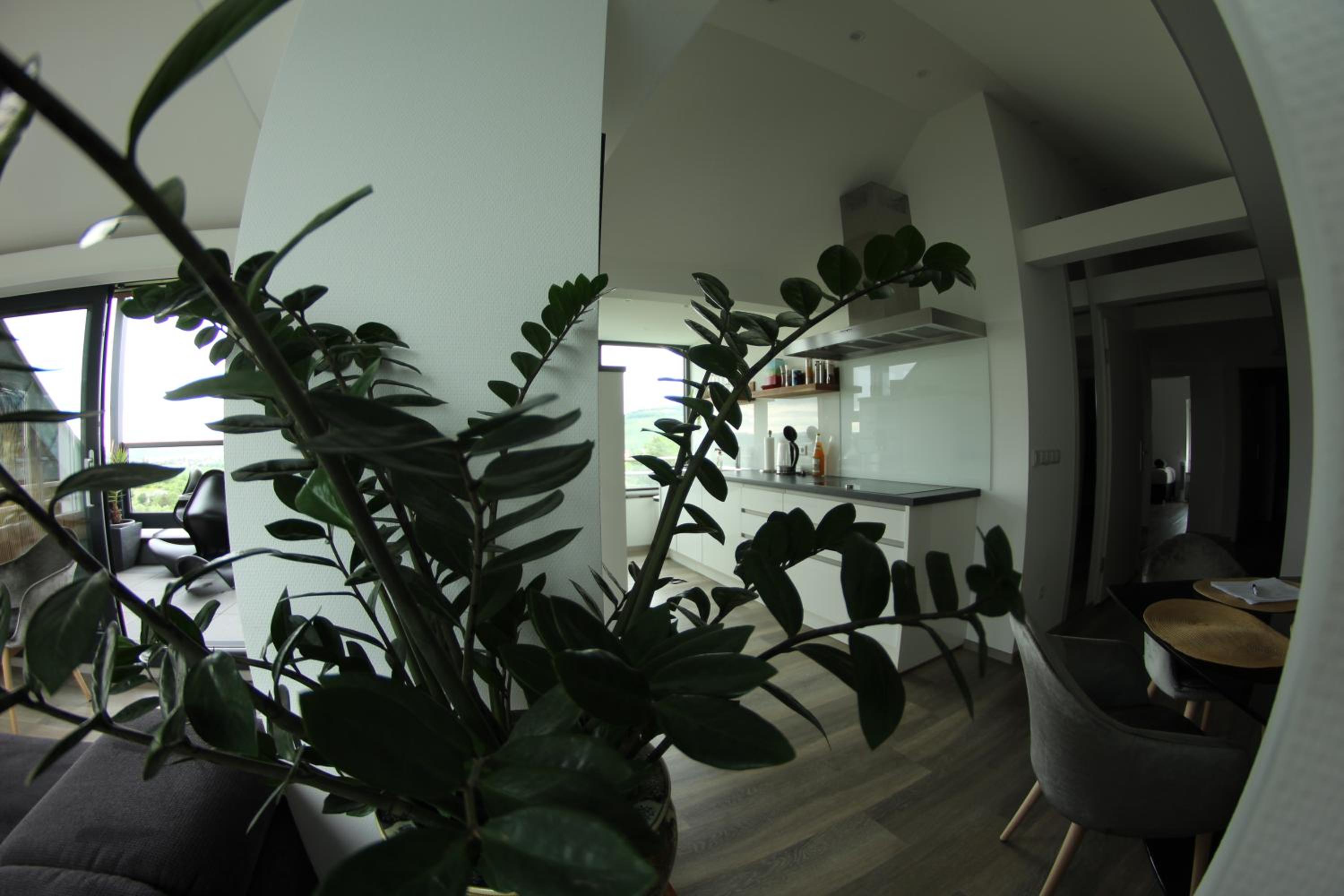 Deluxe Apartment photo 3