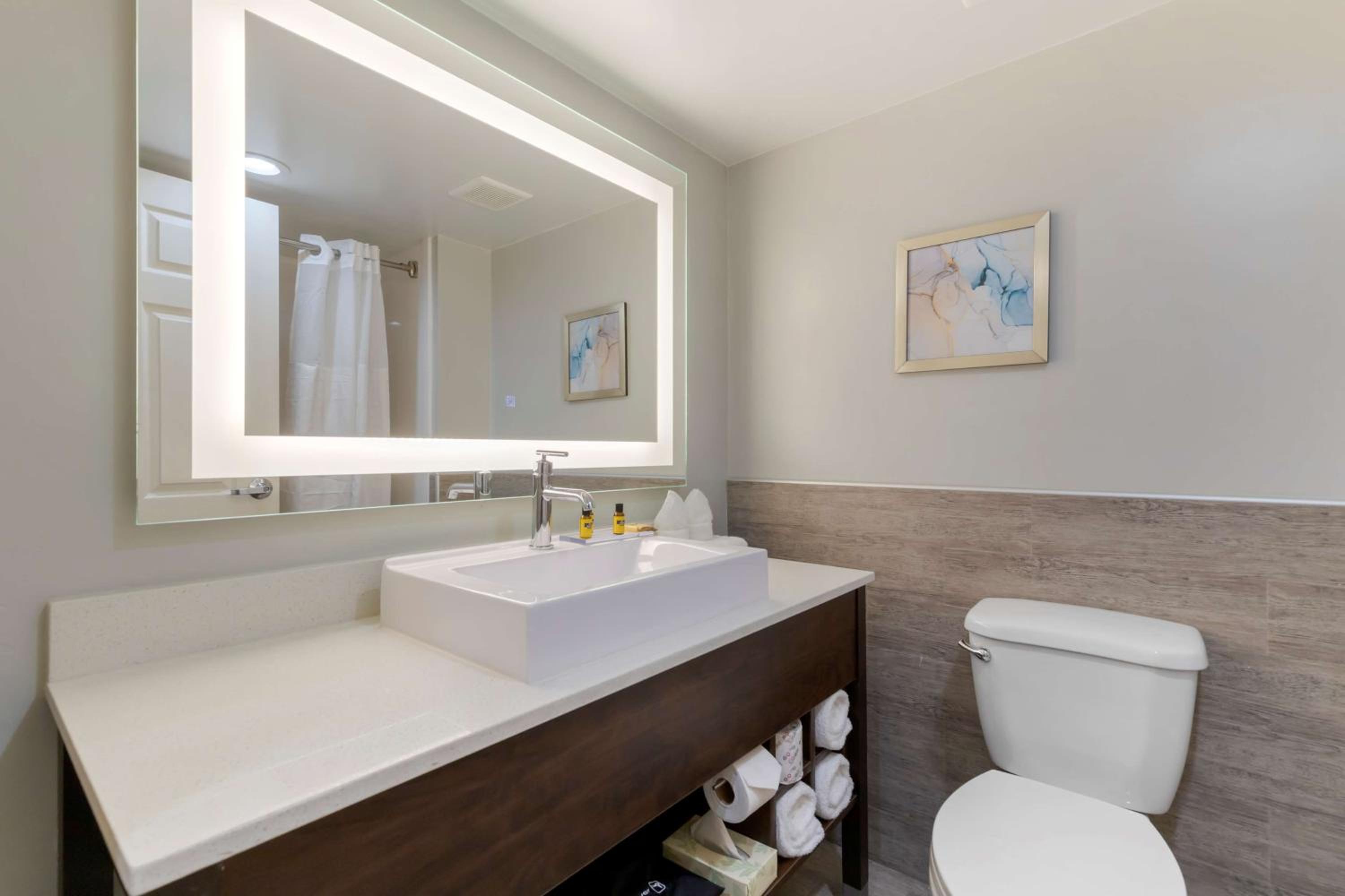 King Suite with Sofa Bed - Photo 4