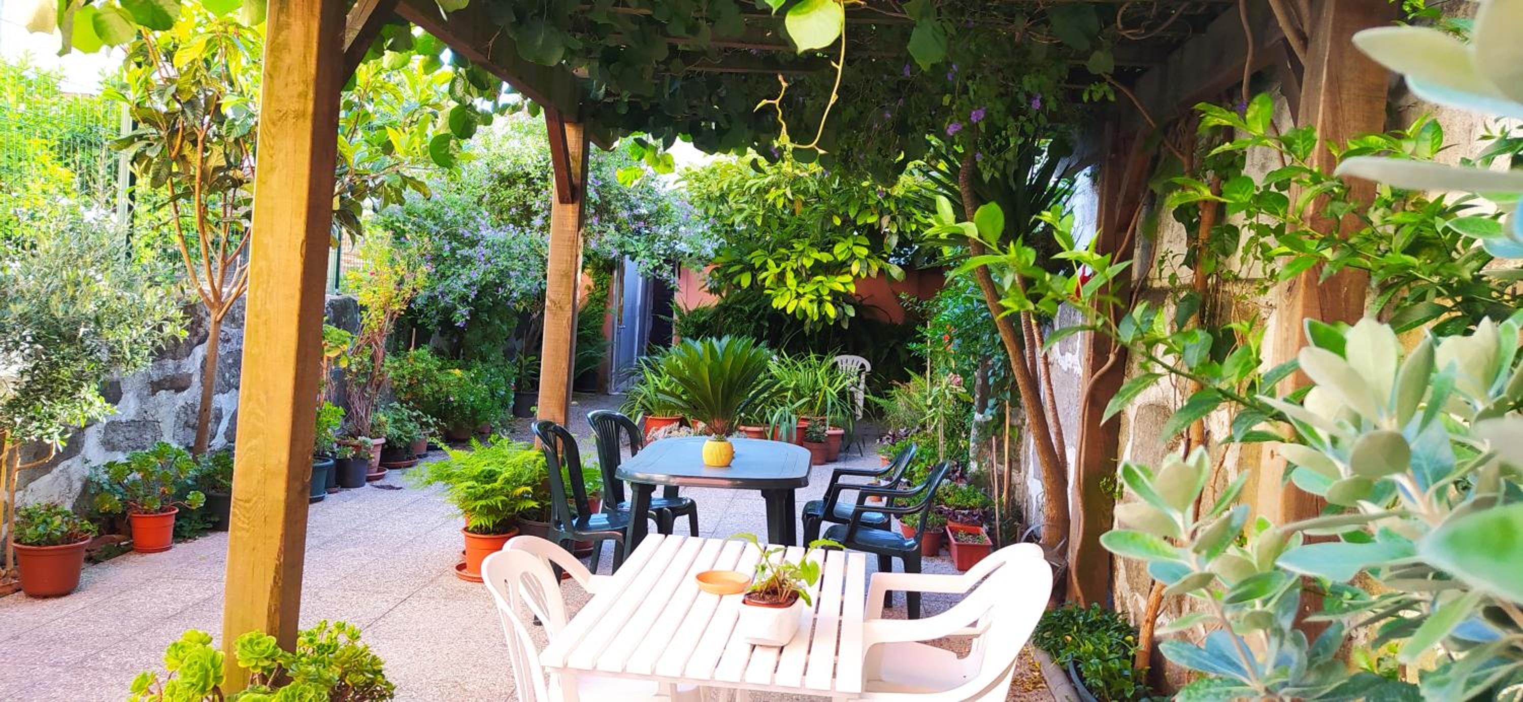 Studio with Terrace - Photo 2