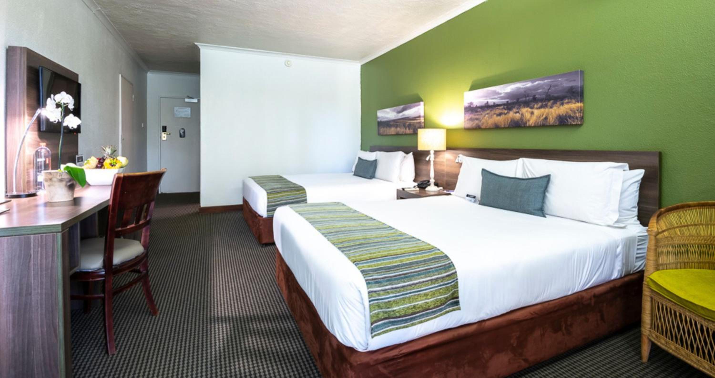 Standard Twin Room - Photo 5
