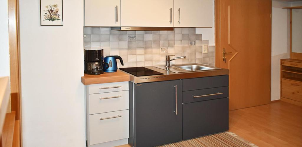 Standard One-Bedroom Apartment photo 2