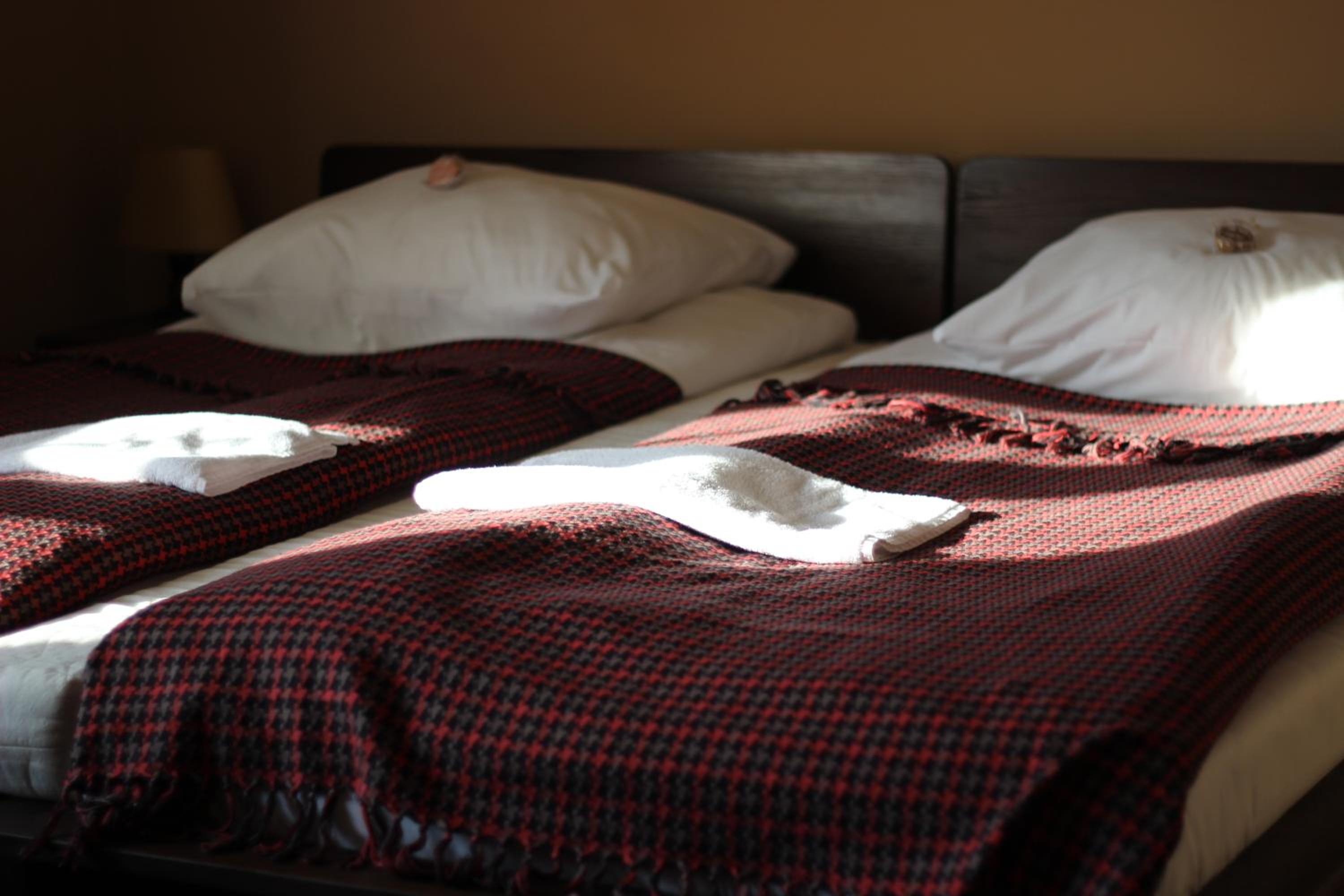 Double or Twin Room photo 1