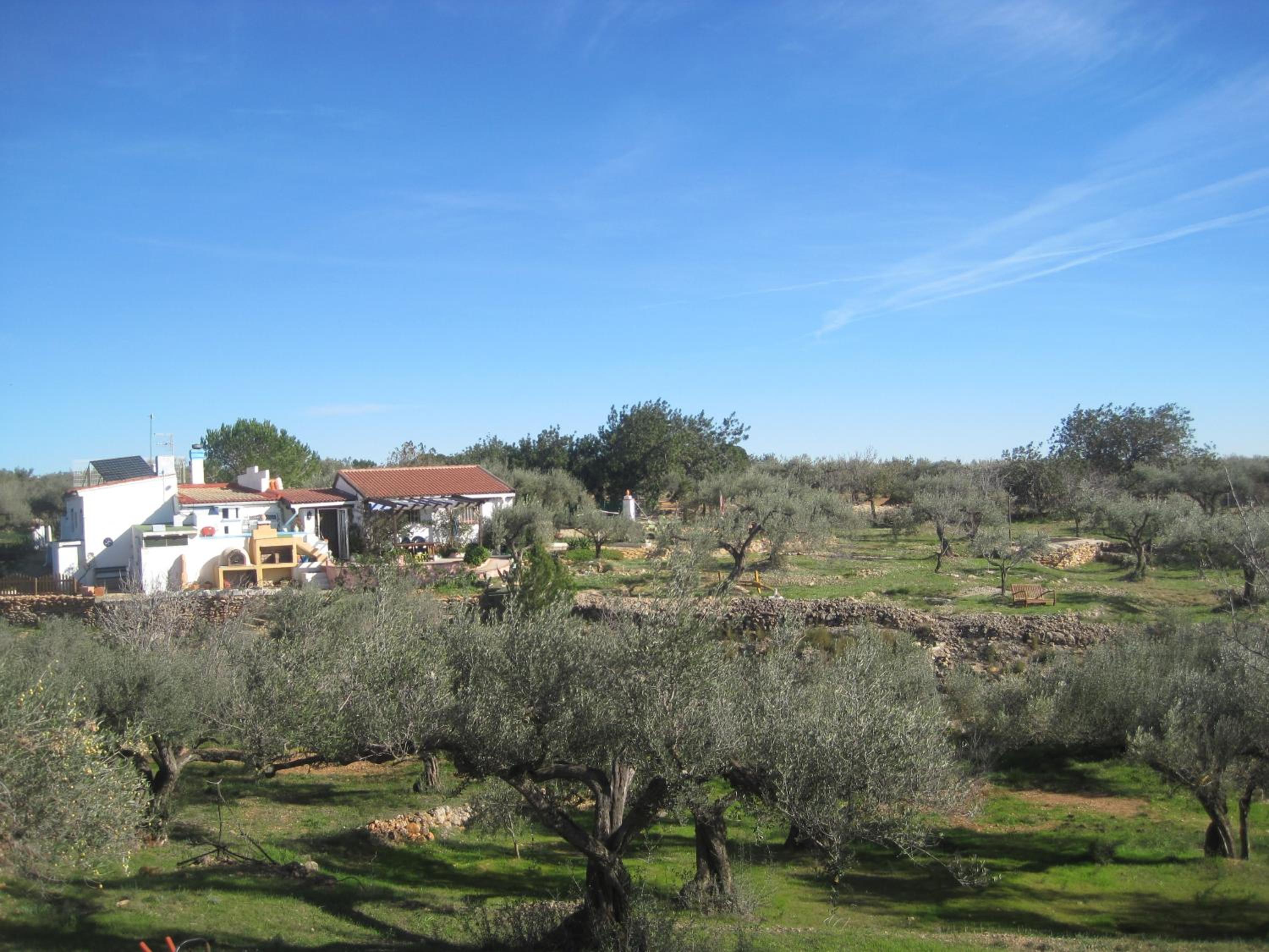 Double Room With Garden View photo 2