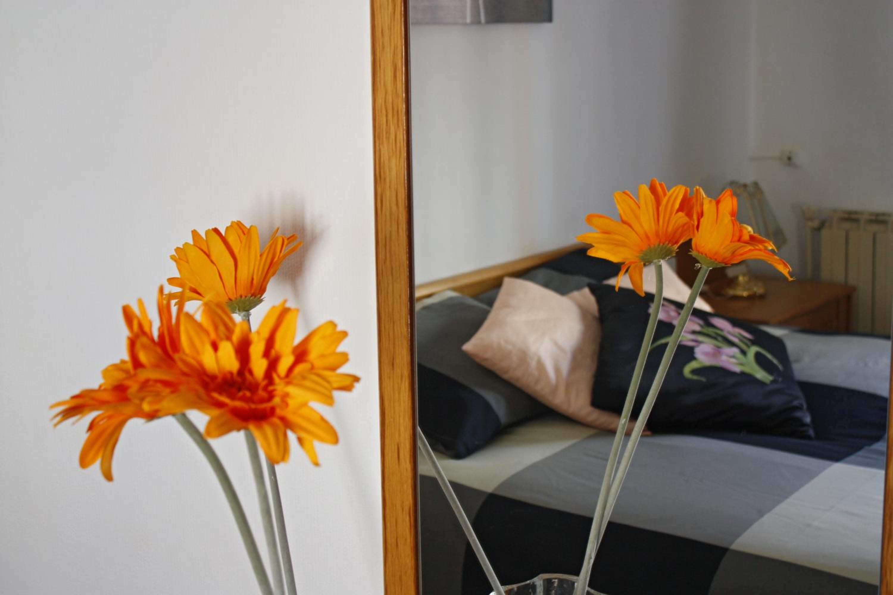 Apartamento con Terraza