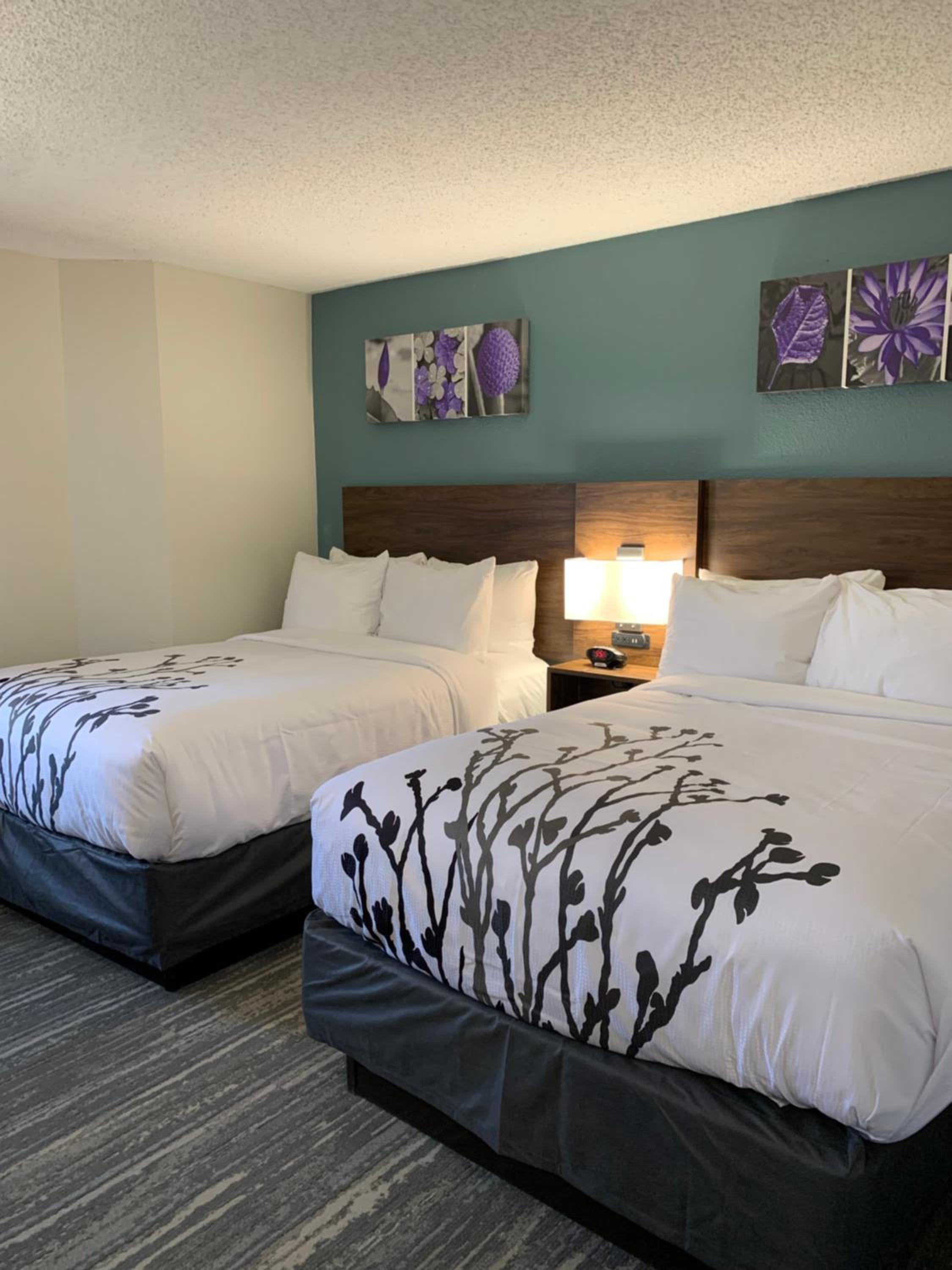 Standard Double Room with Two Double Beds - Non Smoking - Photo 1