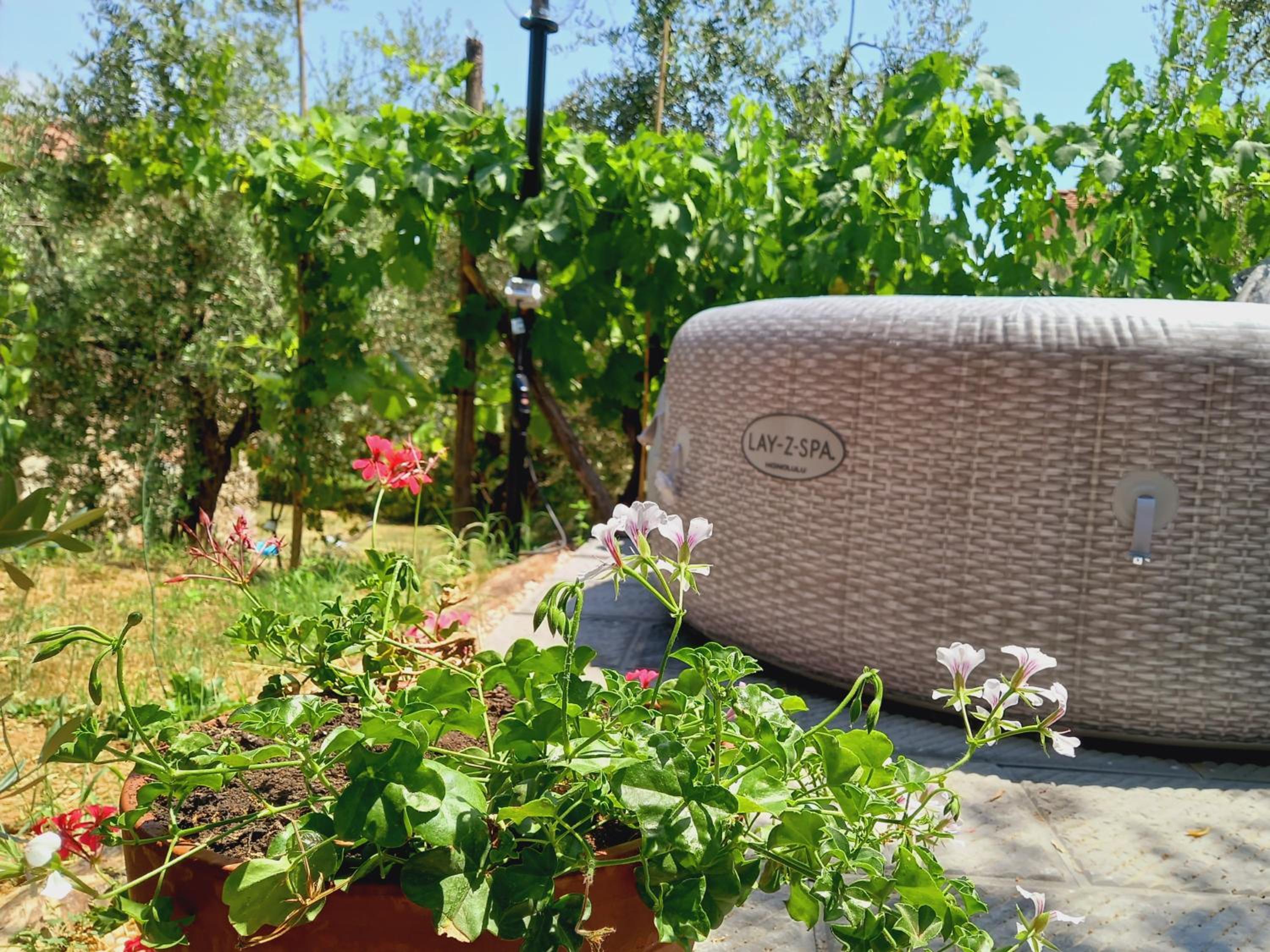 Studio with Garden View photo 3