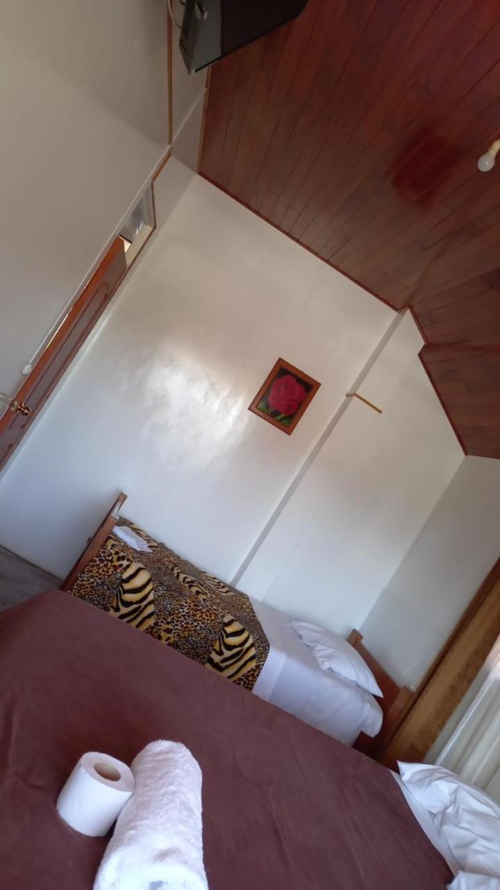 Comfort Triple Room photo 1