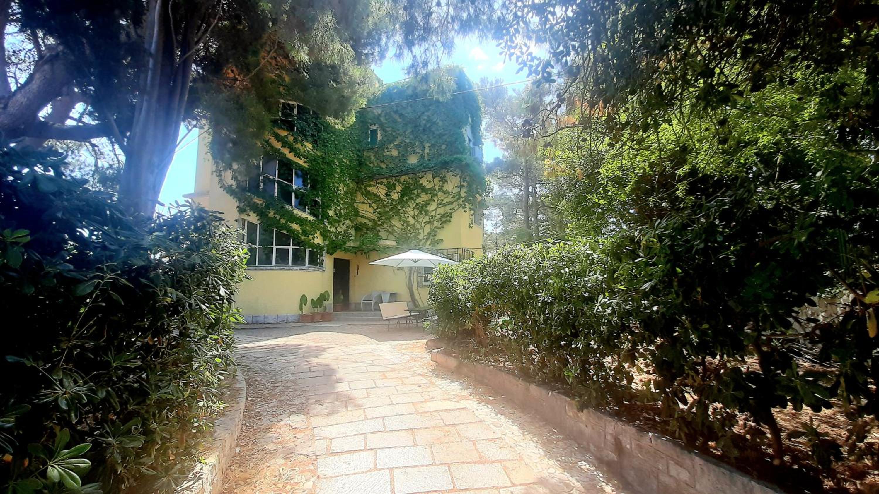 Apartment with Garden View - Photo 2