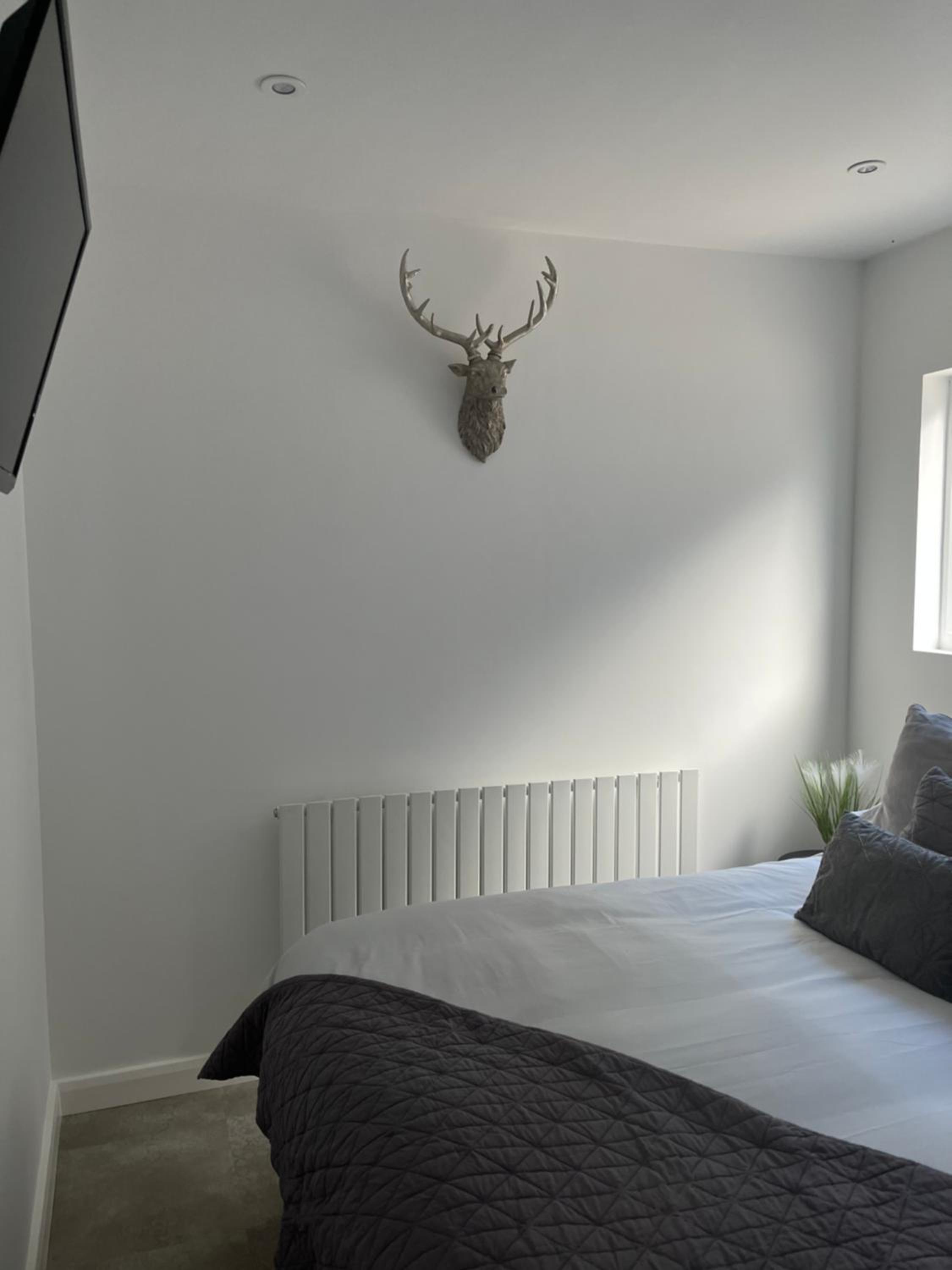 One-Bedroom Apartment - Photo 11