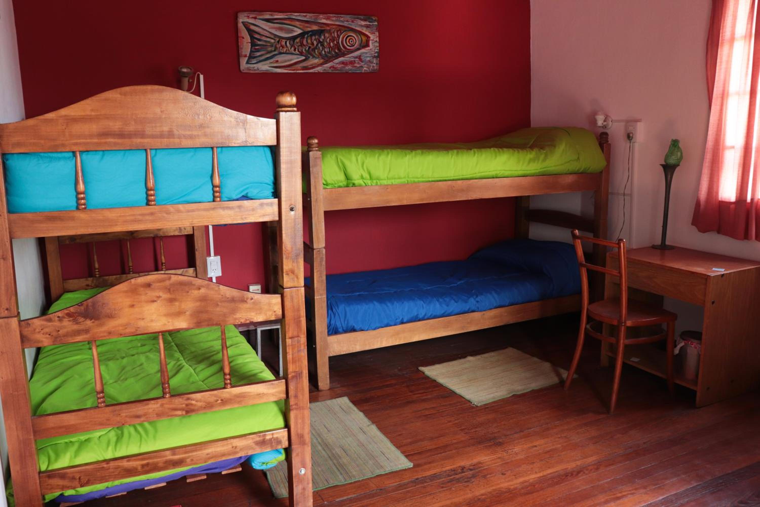 Bed in 4-Bed Dormitory Room photo 1