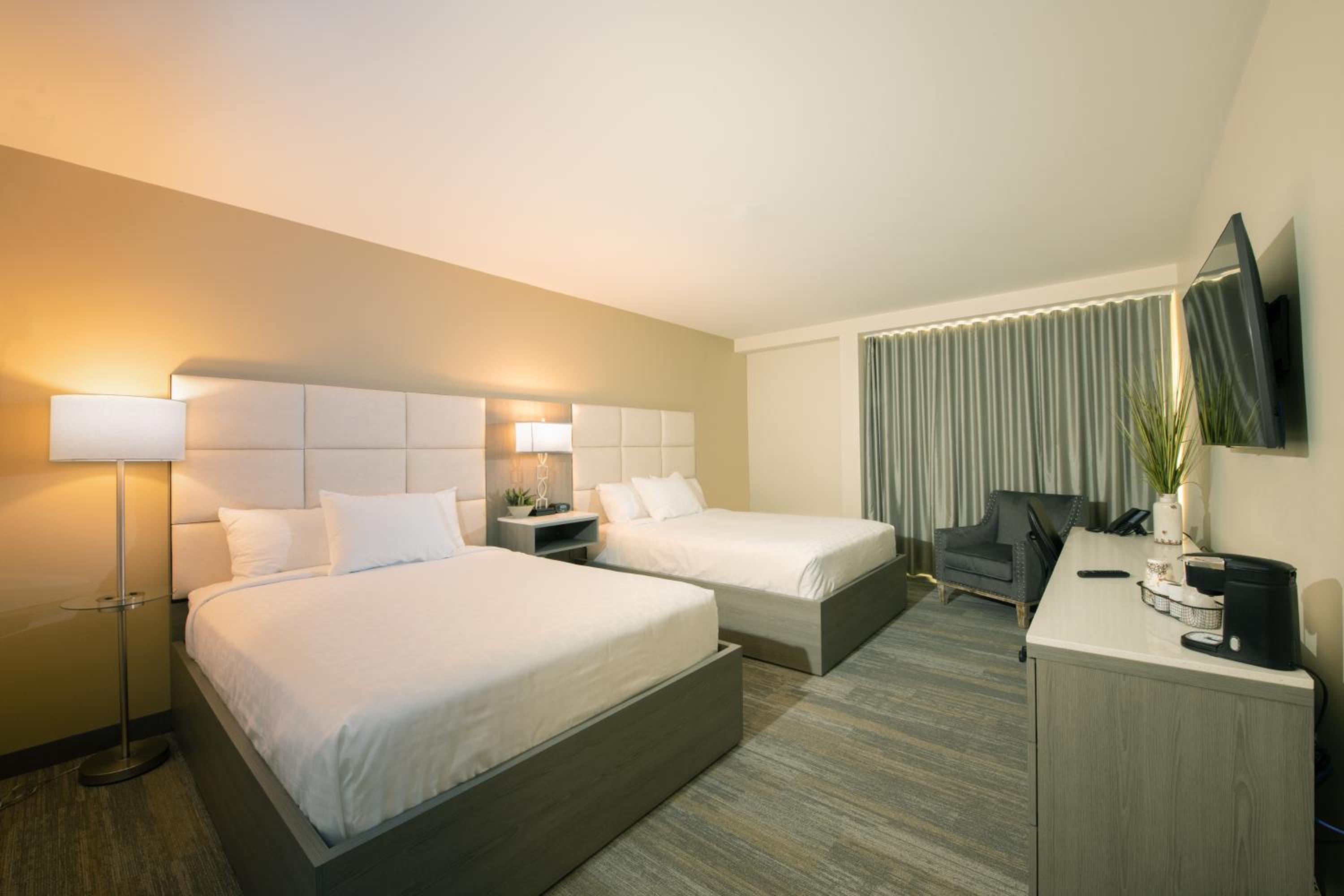 Deluxe Queen Suite