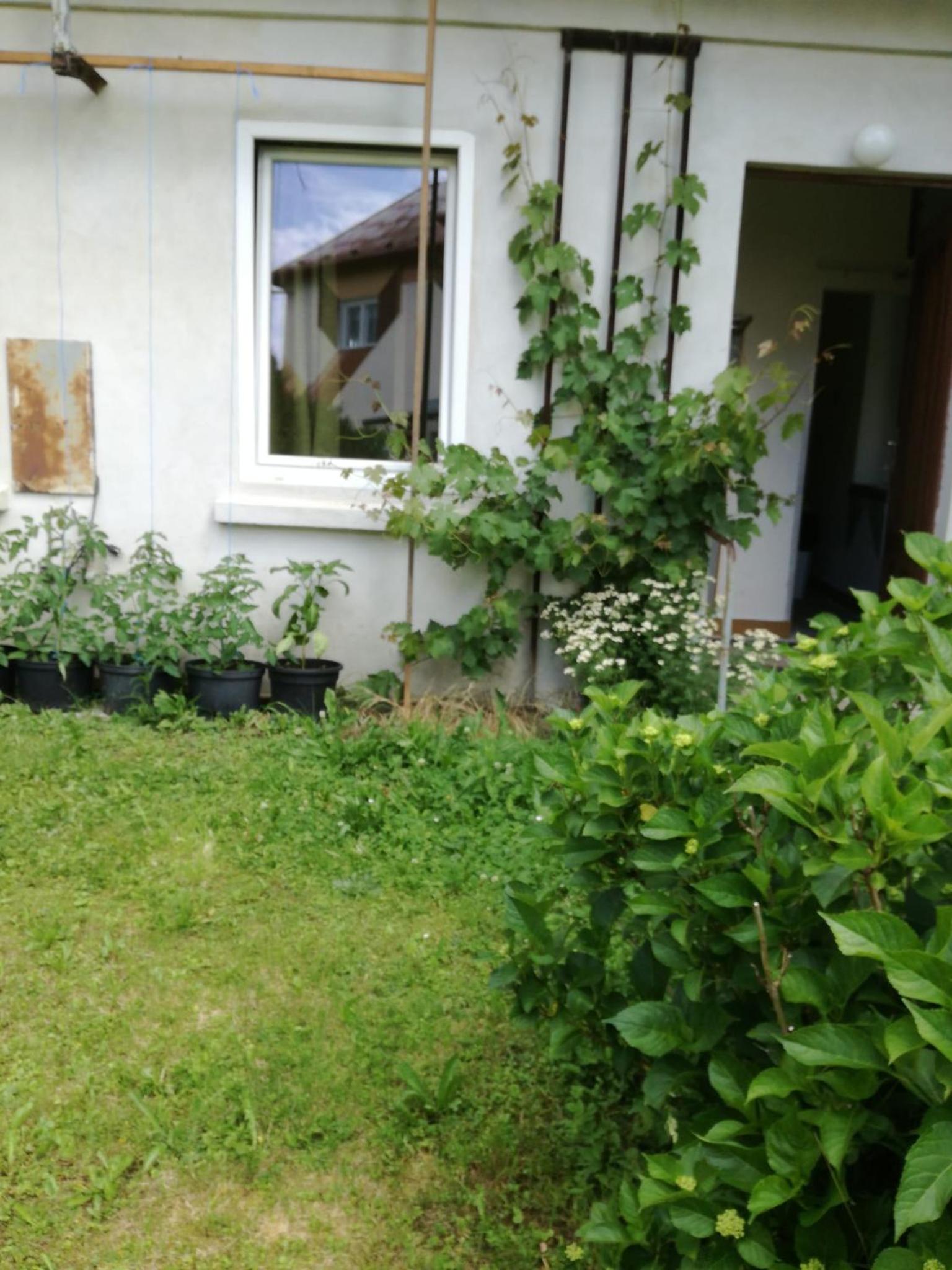 Chalet - Photo 4