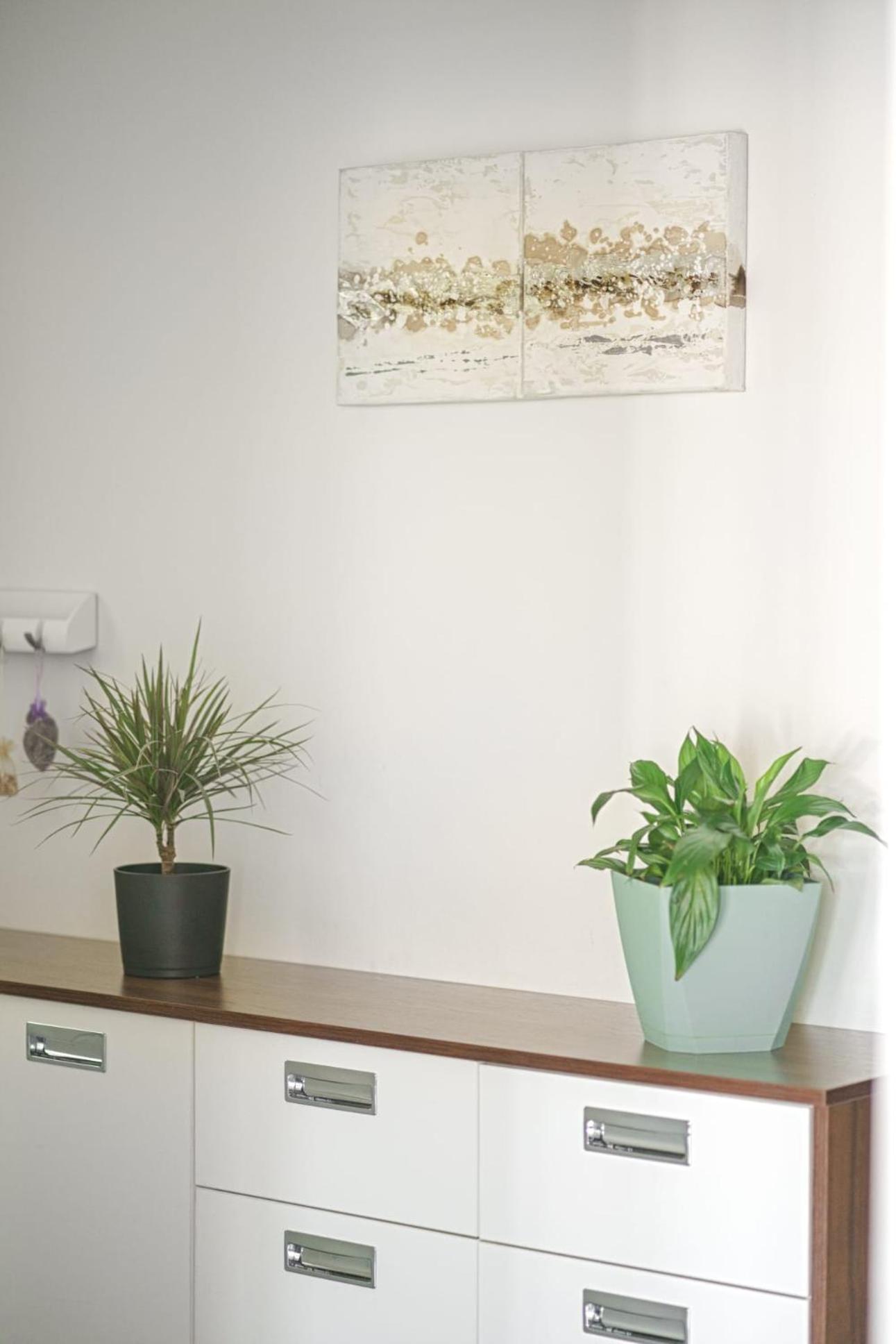 Three-Bedroom House photo 2