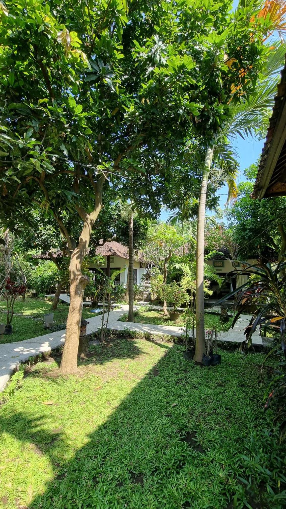 Quadruple Room with Garden View - Photo 9