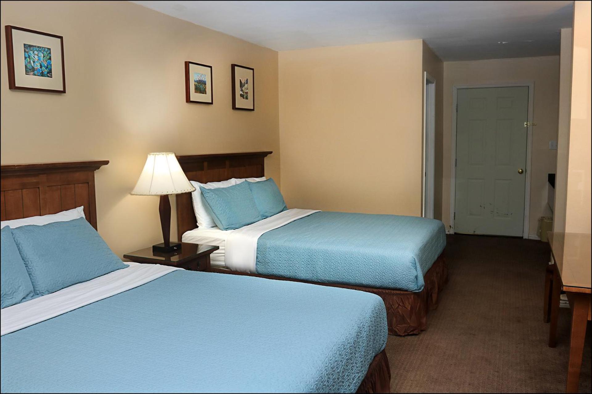 Deluxe Double Room photo 2