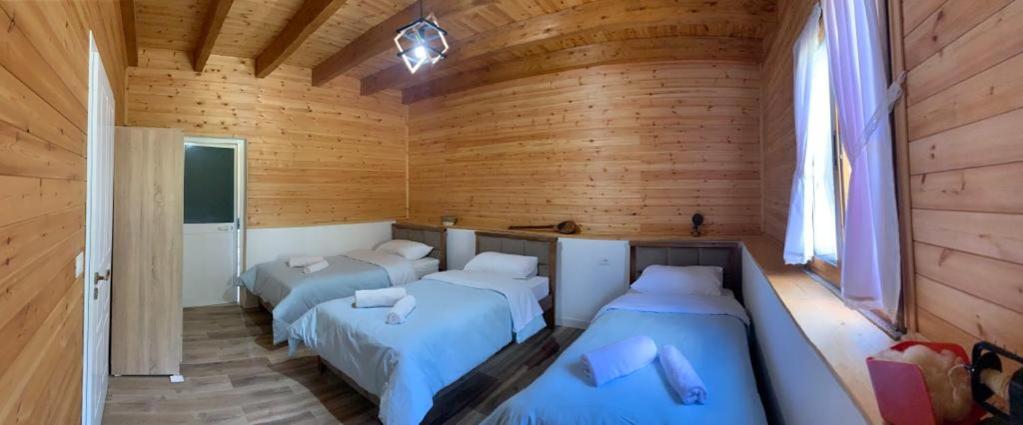 Triple Room with Mountain View photo 1