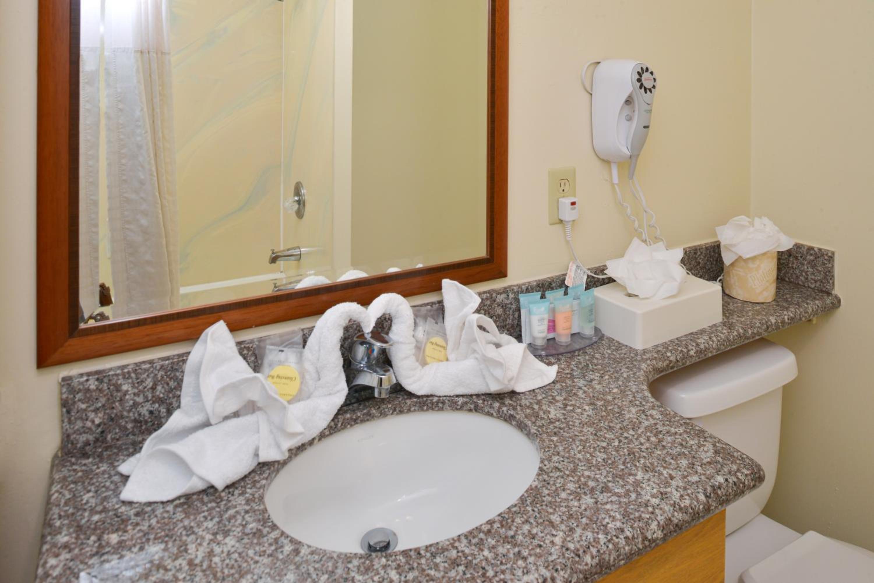 One-Bedroom Suite - Photo 5