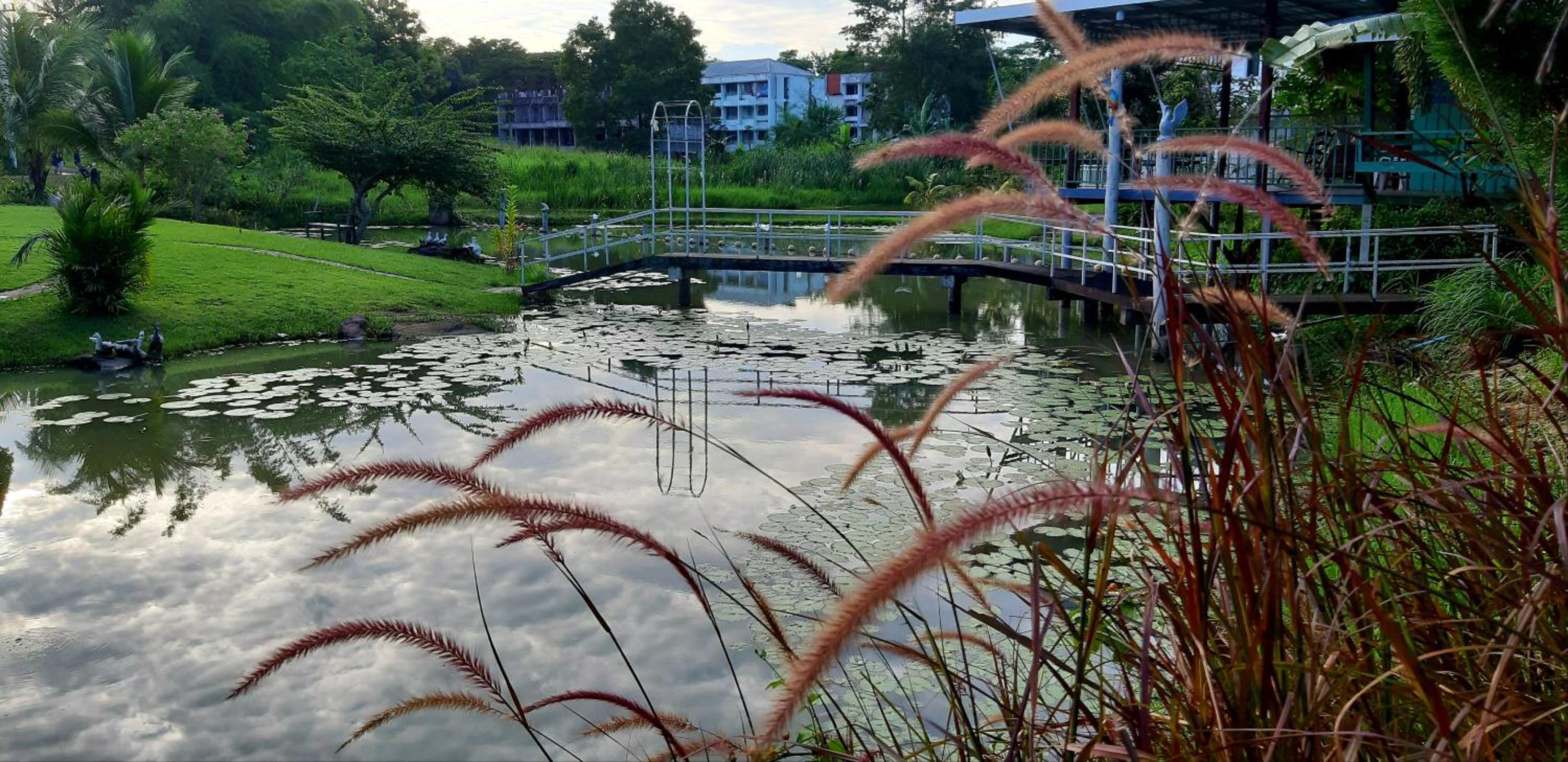 Bungalow - Water Front  - Photo 11