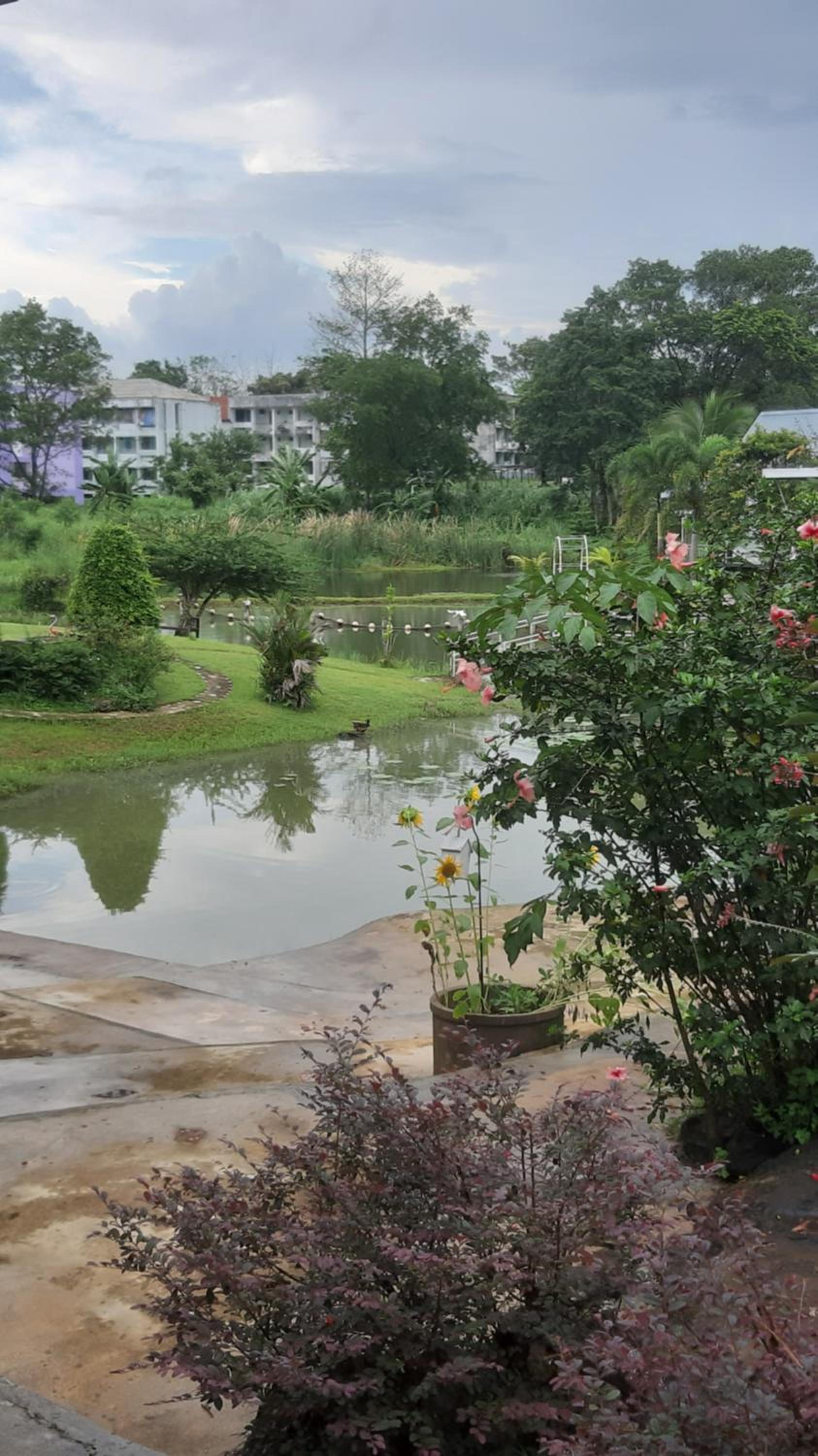 Bungalow - Water Front  - Photo 9