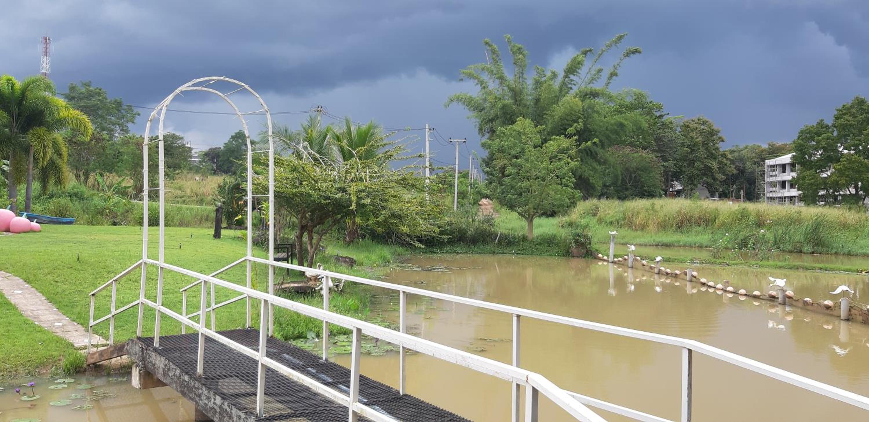 Bungalow - Water Front  - Photo 16