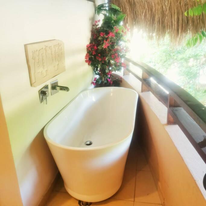 Apartment - Photo 16