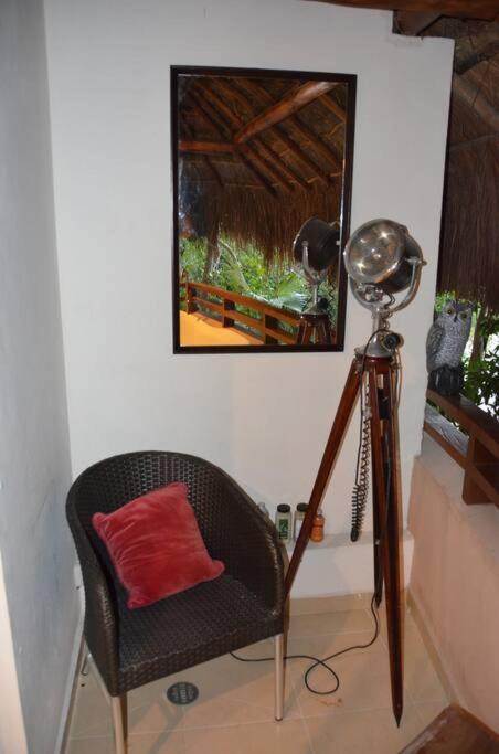 Apartment - Photo 8