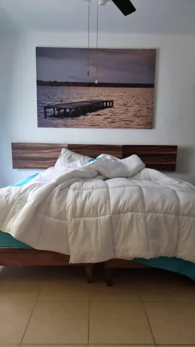 Apartment - Photo 3